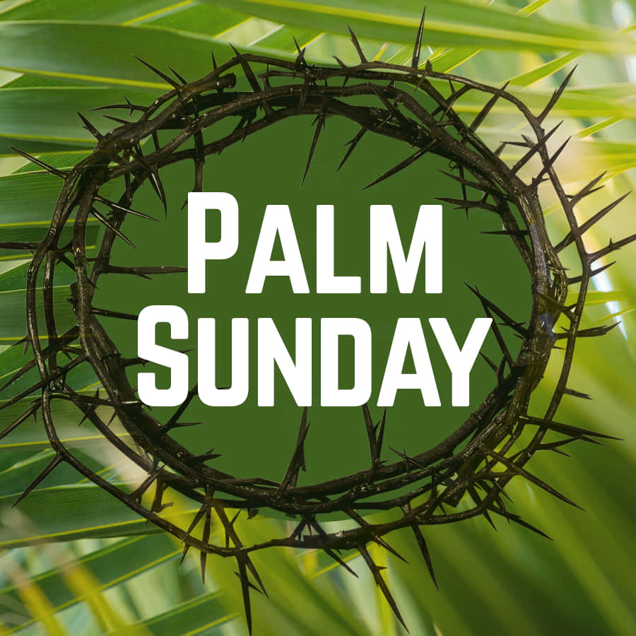 Palm Leaves 桌布 壁紙 — 荊棘冠冕框住粗體白色文字「棕枝主日」，背景是模糊的綠色棕櫚葉。
