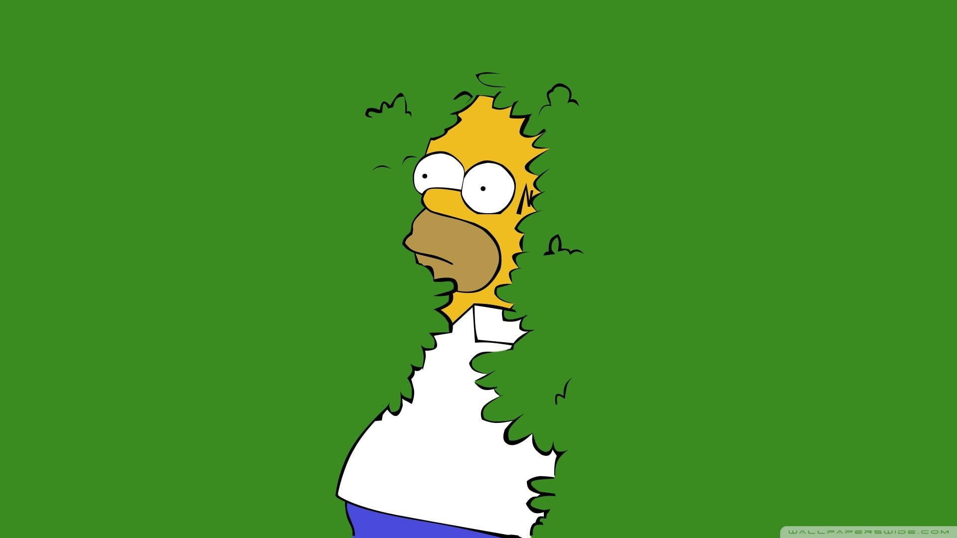 Homer Simpson 桌布 壁紙 — 荷馬·辛普森以驚訝的表情，從純綠色背景中的鋸齒狀洞口窺視。