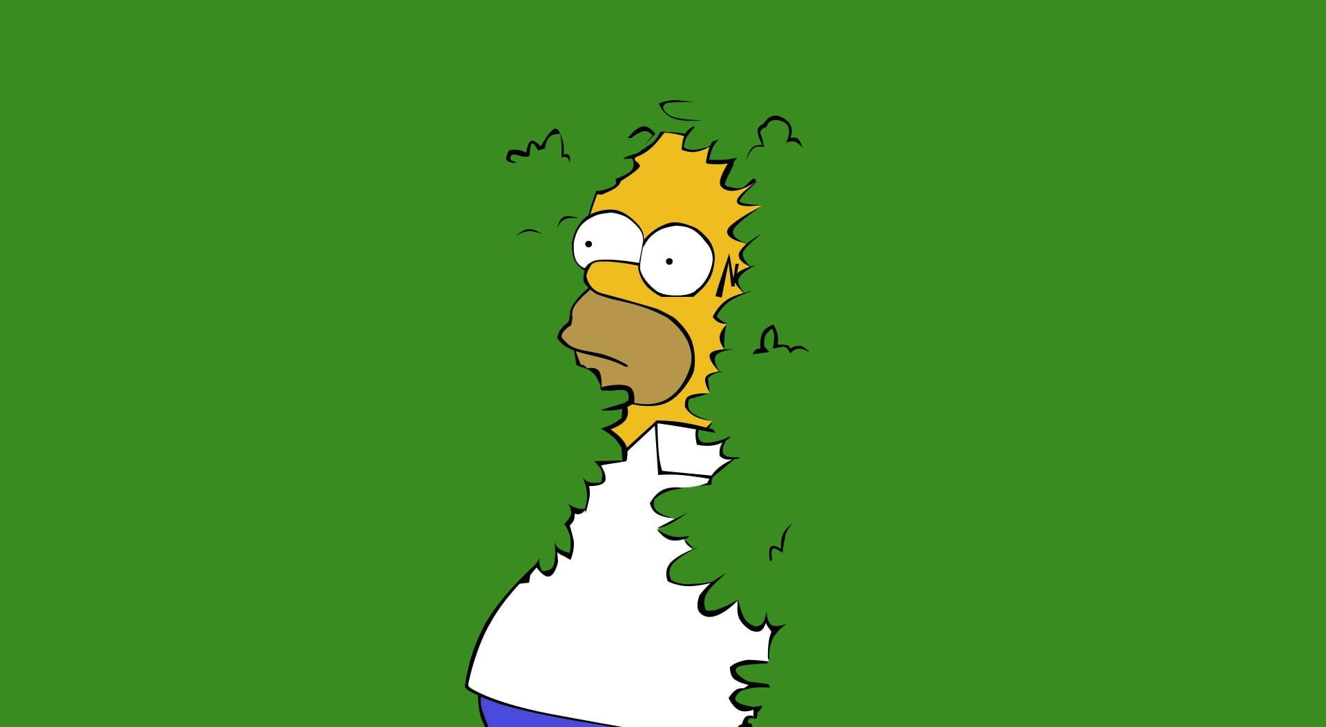 Homer Simpson Funny 桌布 壁紙 — 荷馬·辛普森從一個鋸齒狀的洞中窺視，背景為純綠色，表情驚訝。