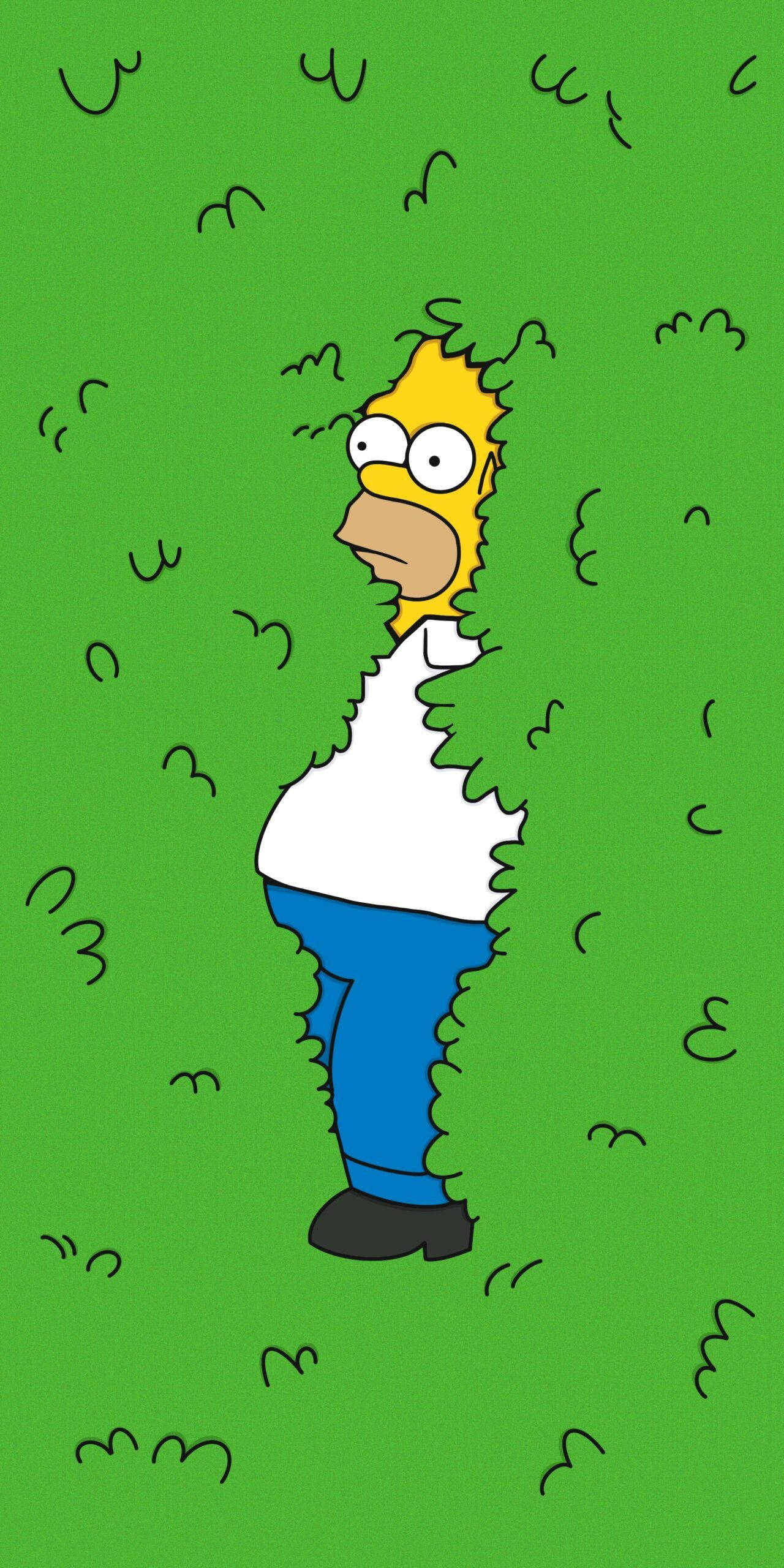 Homer Simpson 桌布 壁紙 — 荷馬·辛普森從風格化的綠色草叢後面探出頭來，露出驚訝的表情。