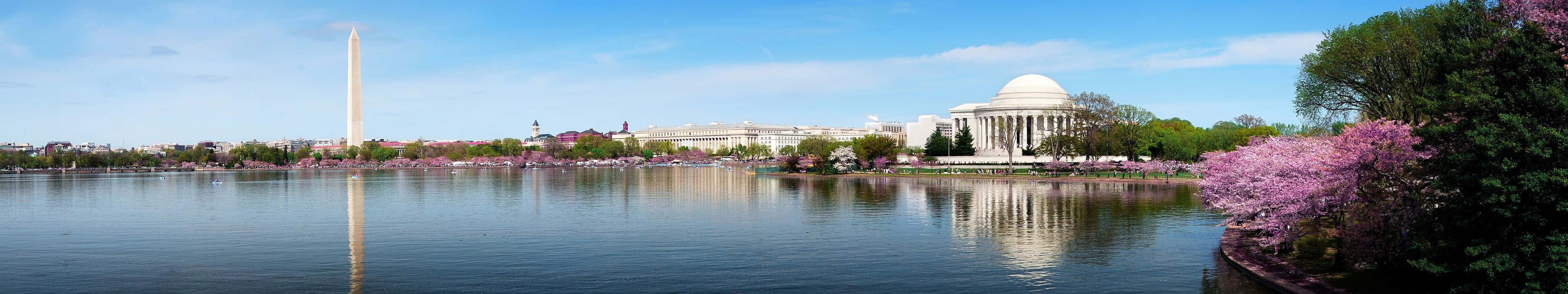 4098x768 桌布 壁紙 — 華盛頓特區潮汐湖的 panoramic 景色，櫻花盛開，華盛頓紀念碑在晴朗的藍天下巍然聳立。