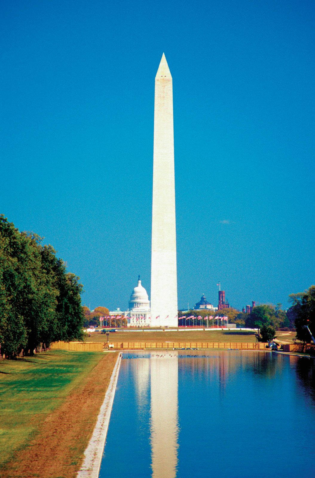 Washington 桌布 壁紙 — 華盛頓紀念碑在清澈的藍天下高聳矗立，倒影映在倒影池中，四周綠樹環繞，背景是美國國會大廈。