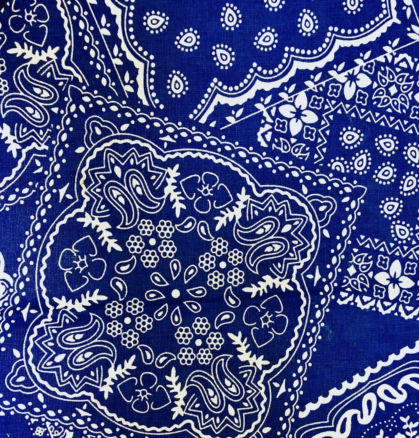 bandana 桌布 壁紙 — 華麗的皇家藍色頭巾特寫，帶有複雜的白色佩斯利花卉圖案和扇貝邊緣。