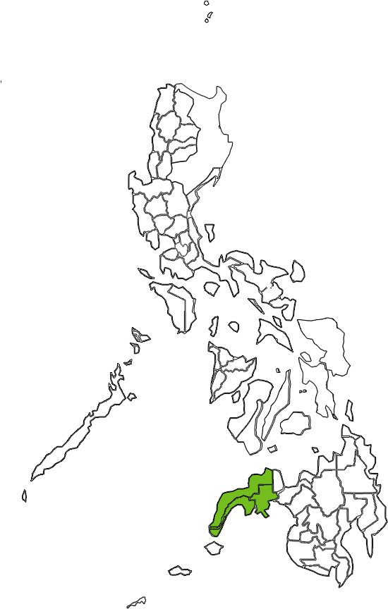 Philippines Map 桌布 壁紙 — 菲律賓的黑白地圖，其中一個島嶼以綠色突出顯示。
