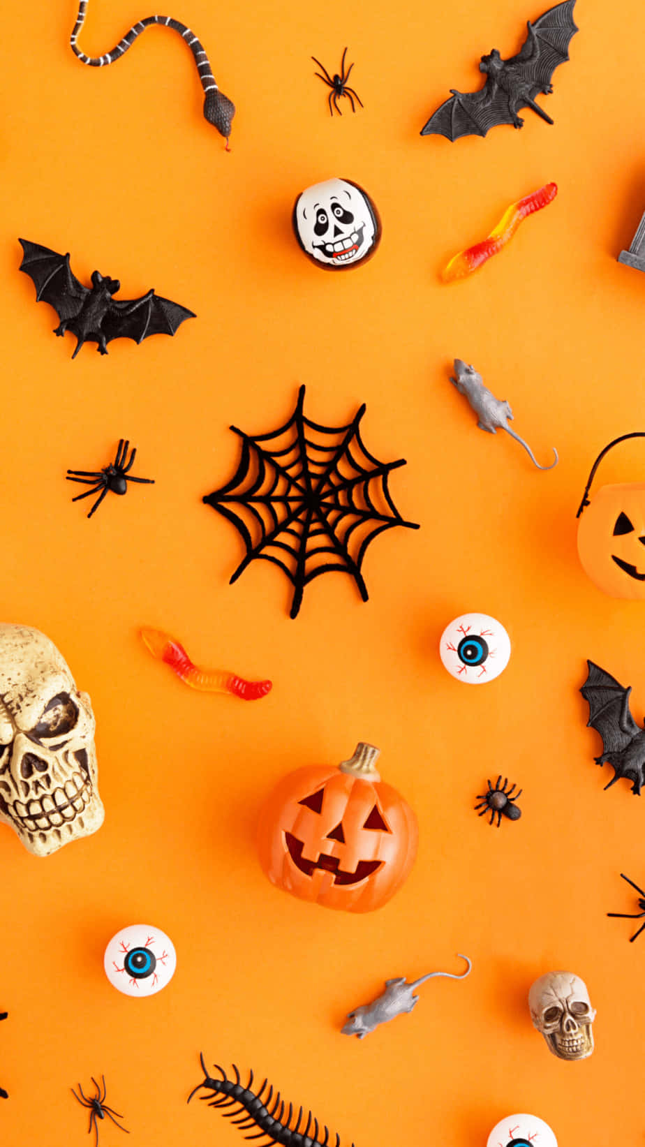 Orange Halloween 桌布 壁紙 — 萬聖節裝飾的平鋪擺放，包括南瓜、骷髏頭、蜘蛛和蝙蝠，散落在鮮豔的橙色背景上。