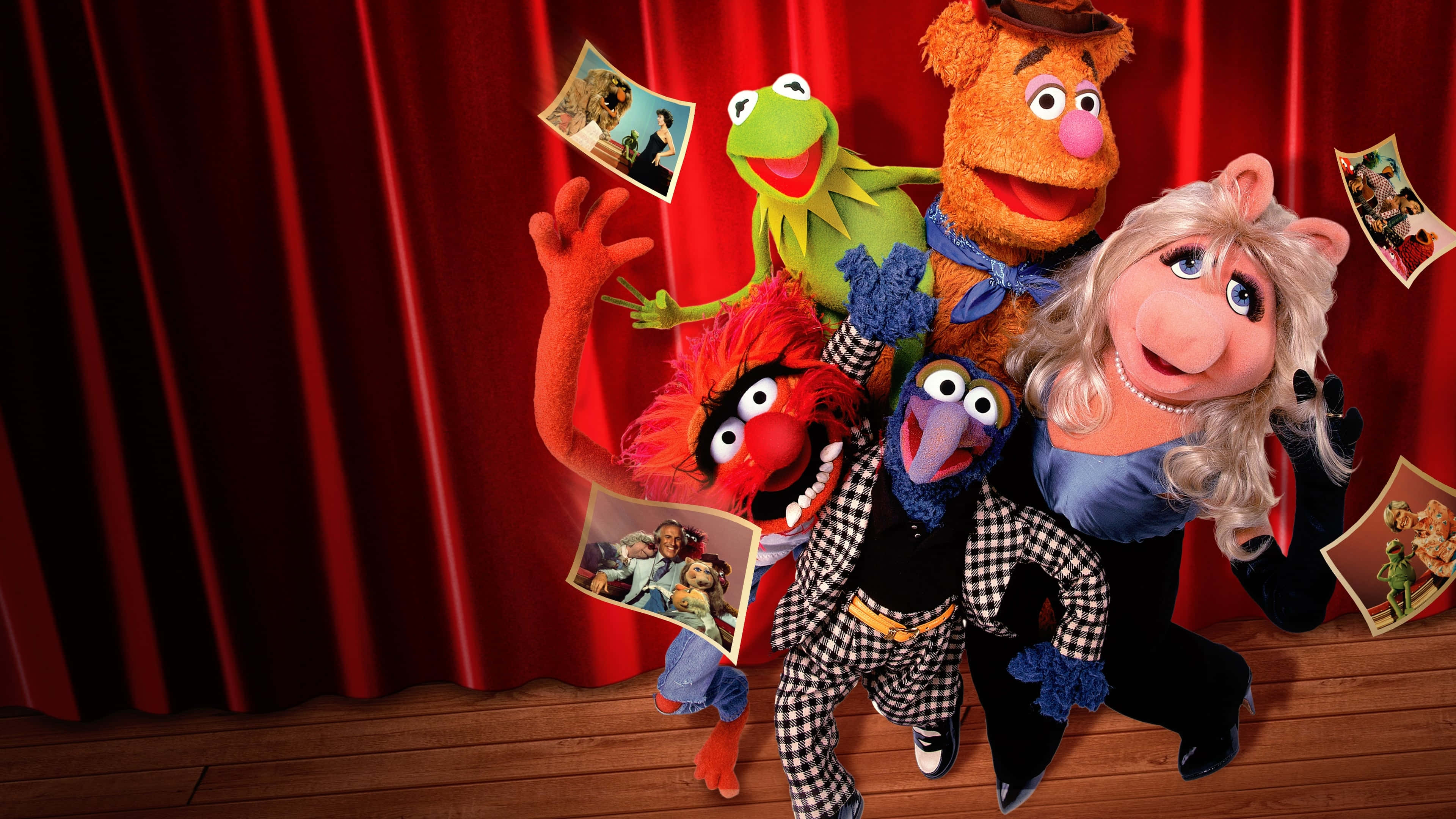 Animal Muppet 桌布 壁紙 — 著名的Muppet角色在紅色窗簾的舞台上愉快地擺姿勢，手持復古照片印刷品。