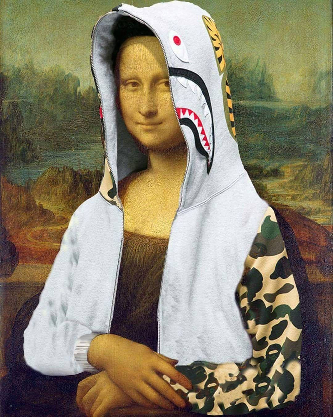 lisa 桌布 壁紙 — 蒙娜麗莎穿著鯊魚嘴連帽衫，配迷彩袖，背景為原來的文藝復興背景。