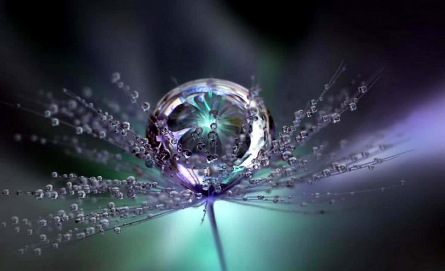 Water Drop 桌布 壁紙 — 蒲公英種子頭上的露珠微距照片，折射出充滿活力的紫色和藍綠色調。