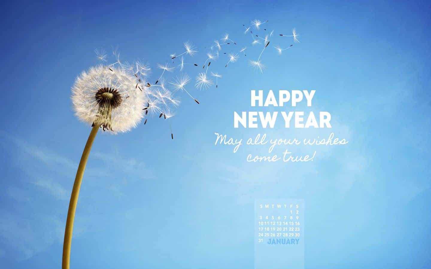 Calendar 桌布 壁紙 — 蒲公英種子頭將絨毛種子釋放到清澈的藍天中，帶有「新年快樂」的祝福和一月日曆。