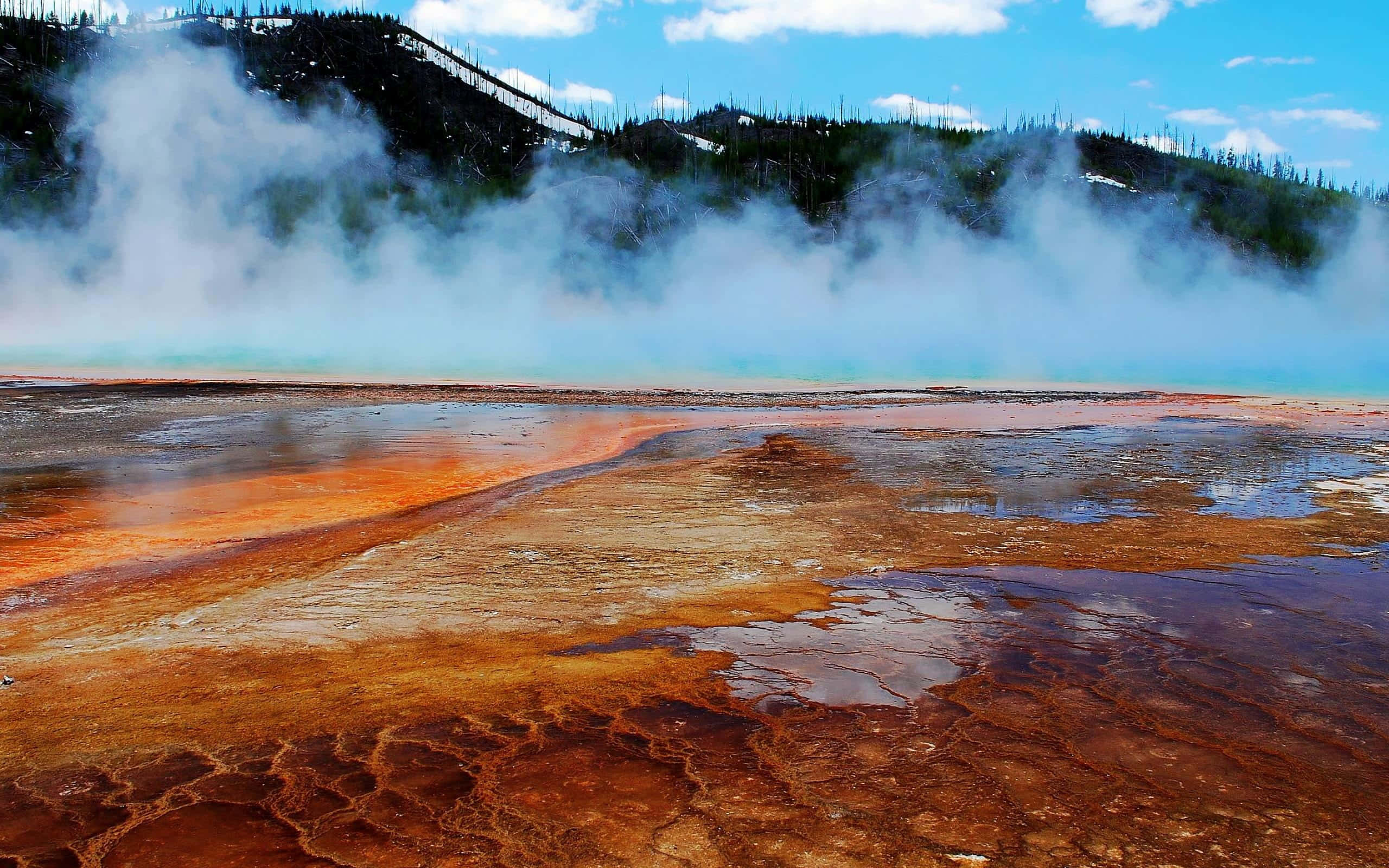 Yellowstone Geysers 桌布 壁紙 — 蒸氣從充滿活力的橙色和黃色地熱池中升起，背景是白雪覆蓋的松樹林，在明亮的藍天下。