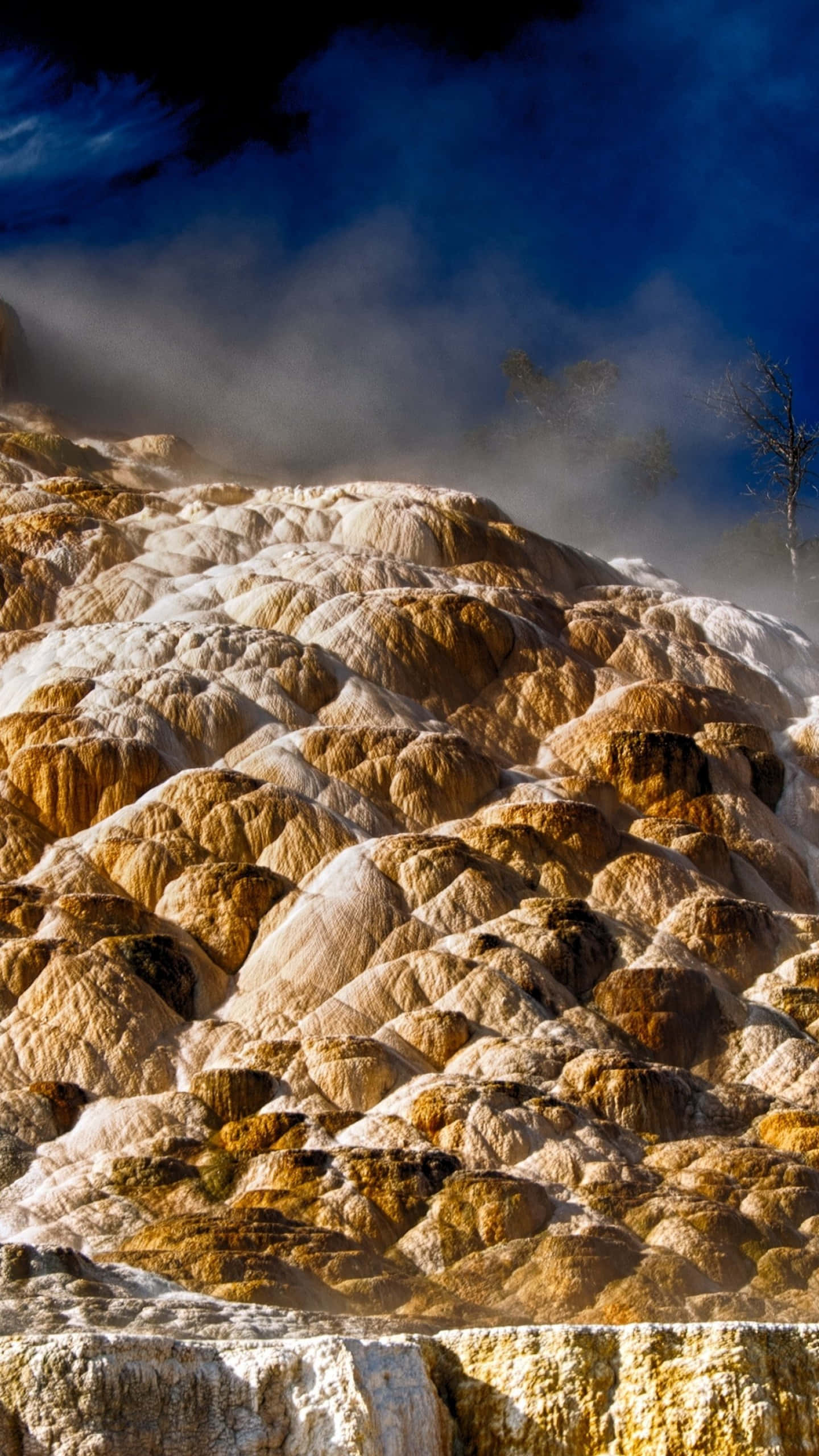 Yellowstone 桌布 壁紙 — 蒸騰的階梯式溫泉帶有金色赭石礦物沉積物，在戲劇性的藍天下閃耀。