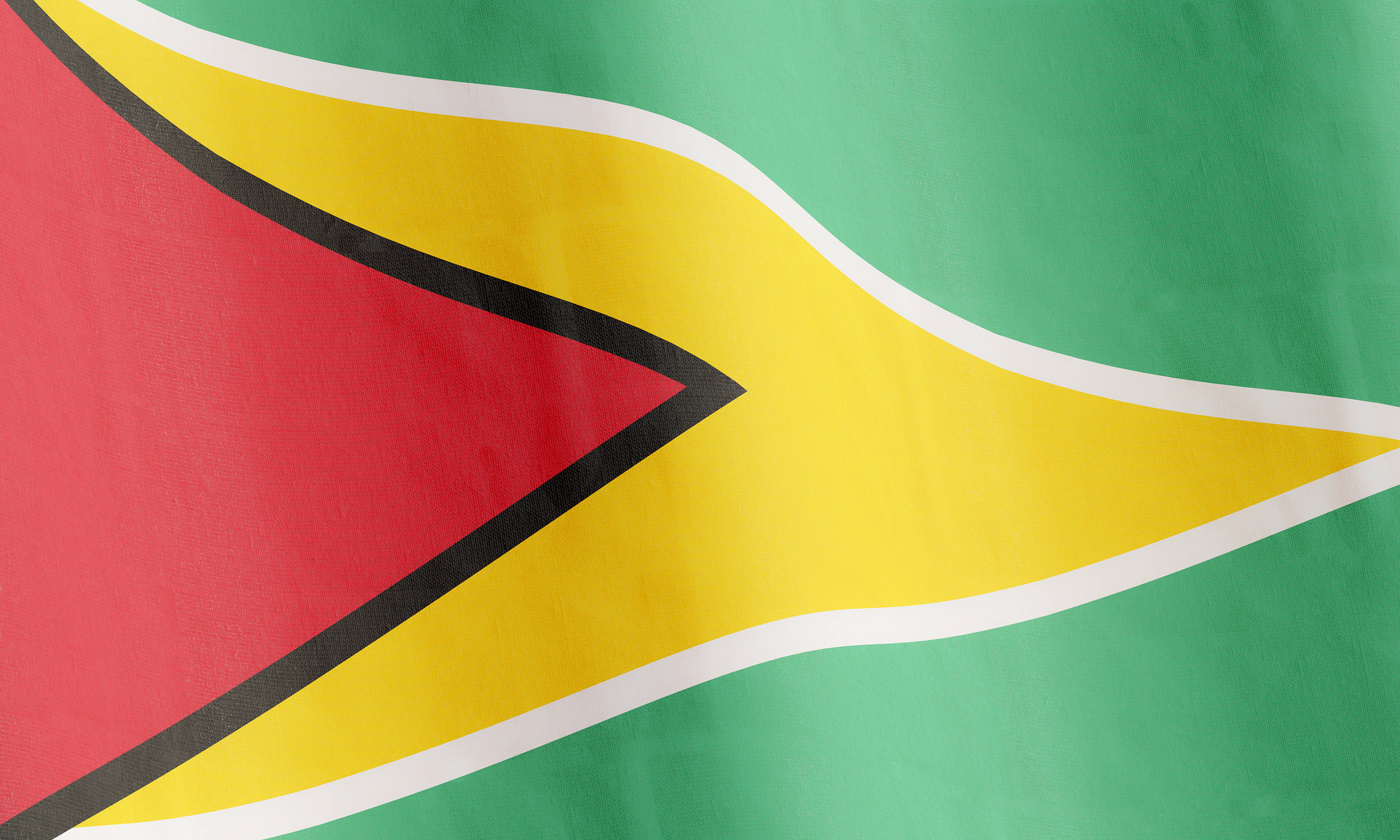 Guyana 桌布 壁紙 — 蓋亞那國旗近距離飄揚，帶有鮮豔的綠色、黃色、紅色和黑白條紋。