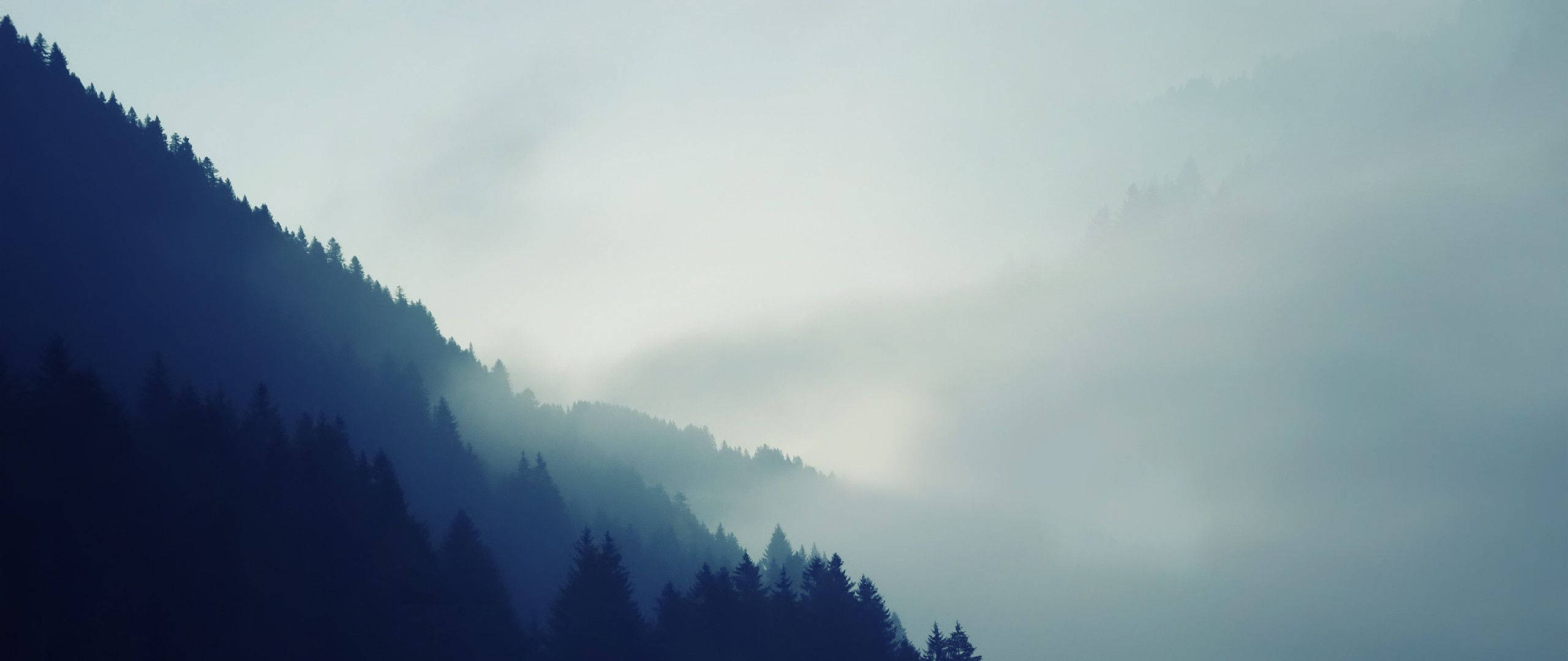 3840x1600 桌布 壁紙 — 薄霧籠罩的山脈，披上深藍色陰影，霧氣在松樹林中翻滾，蒼白的天空下。
