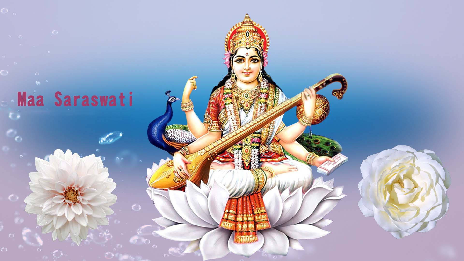 Saraswati Mata 桌布 壁紙 — 薩拉斯瓦蒂女神優雅地坐在白色蓮花上，手持維納琴，身旁有一隻孔雀，周圍環繞著白色花朵和氣泡。