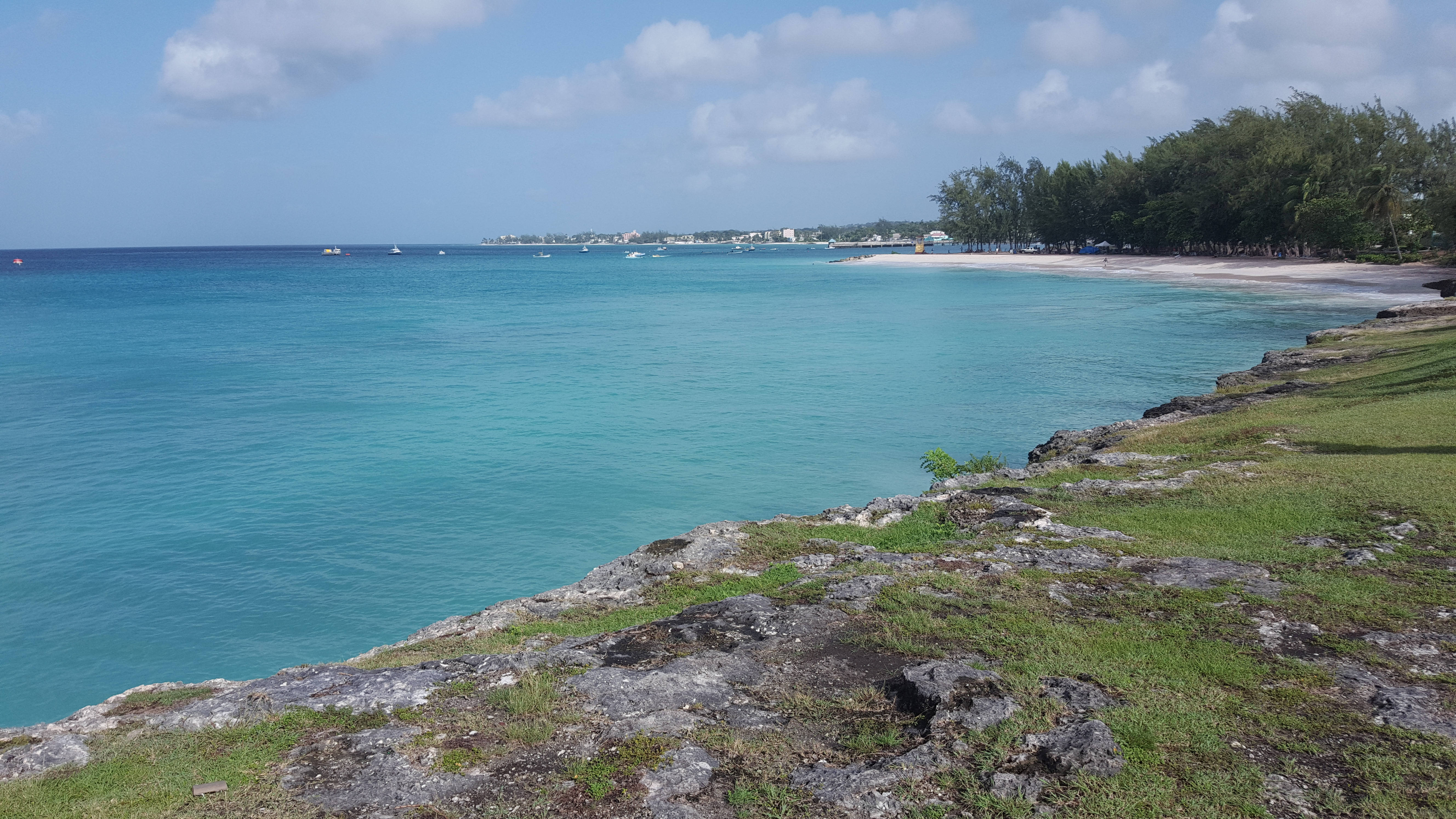Barbados 桌布 壁紙 — 藍綠色的海洋與白色沙灘相接，四周環繞著茂密的綠樹，天空湛藍，白雲點綴。