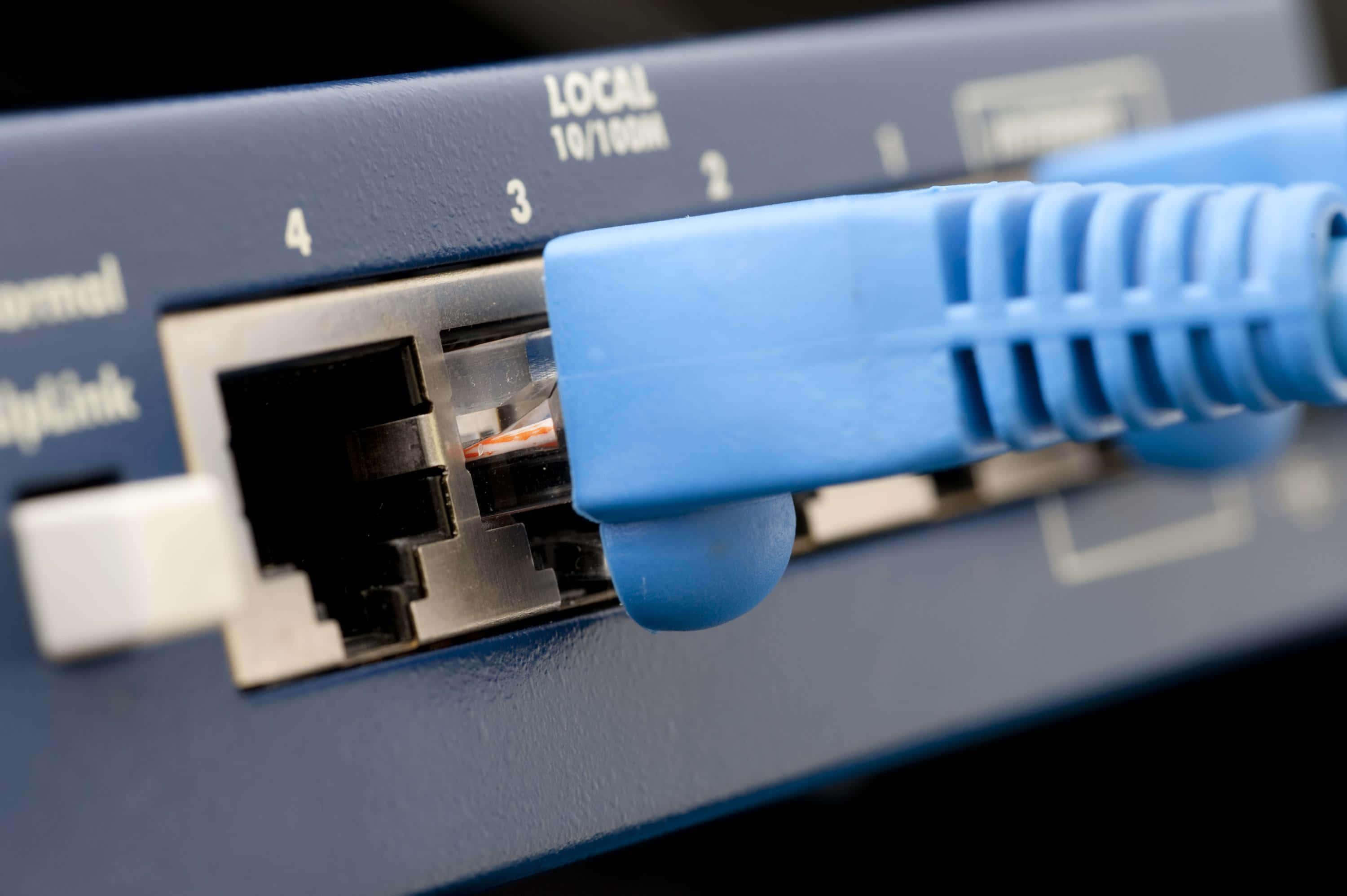 Ethernet 桌布 壁紙 — 藍色乙太網路電纜插入標有 local 10100m 的網路路由器端口的特寫。