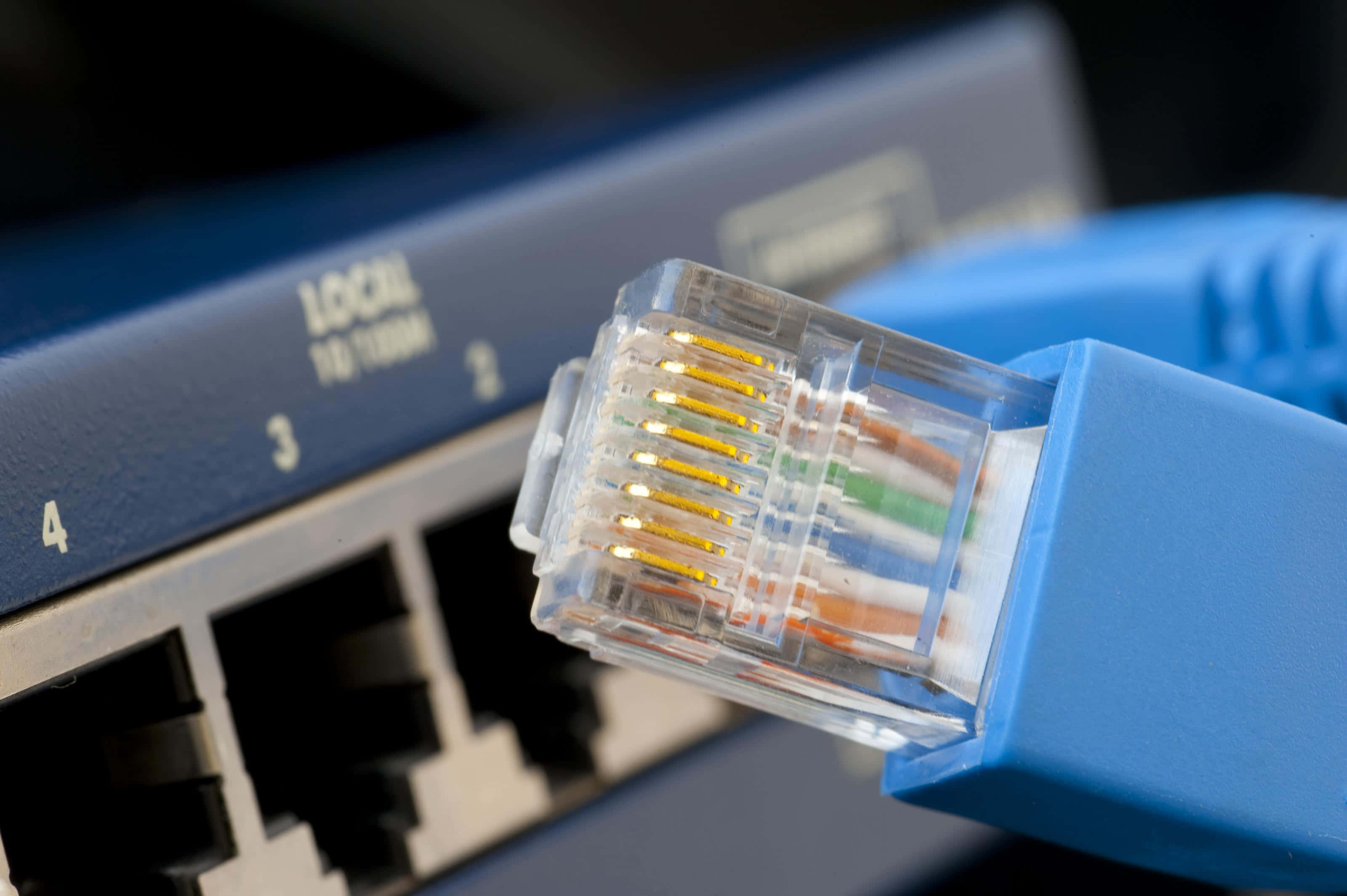 Ethernet 桌布 壁紙 — 藍色乙太網路電纜插入網路交換器連接埠的特寫，顯示內部電線顏色。