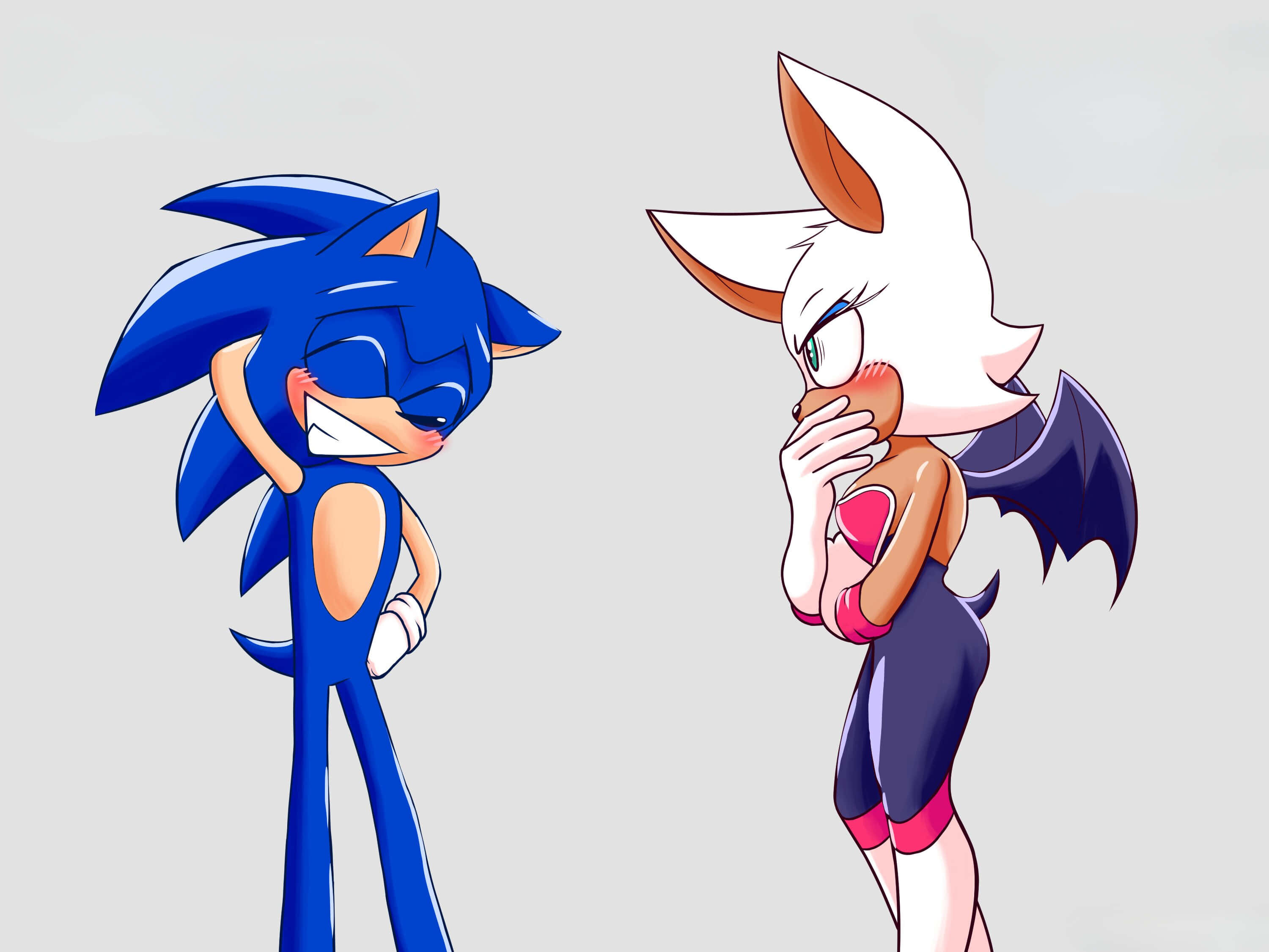 Sonic And Rouge 桌布 壁紙 — 藍色刺蝟和白色蝙蝠角色以動漫風格展現俏皮表情，背景為純色。