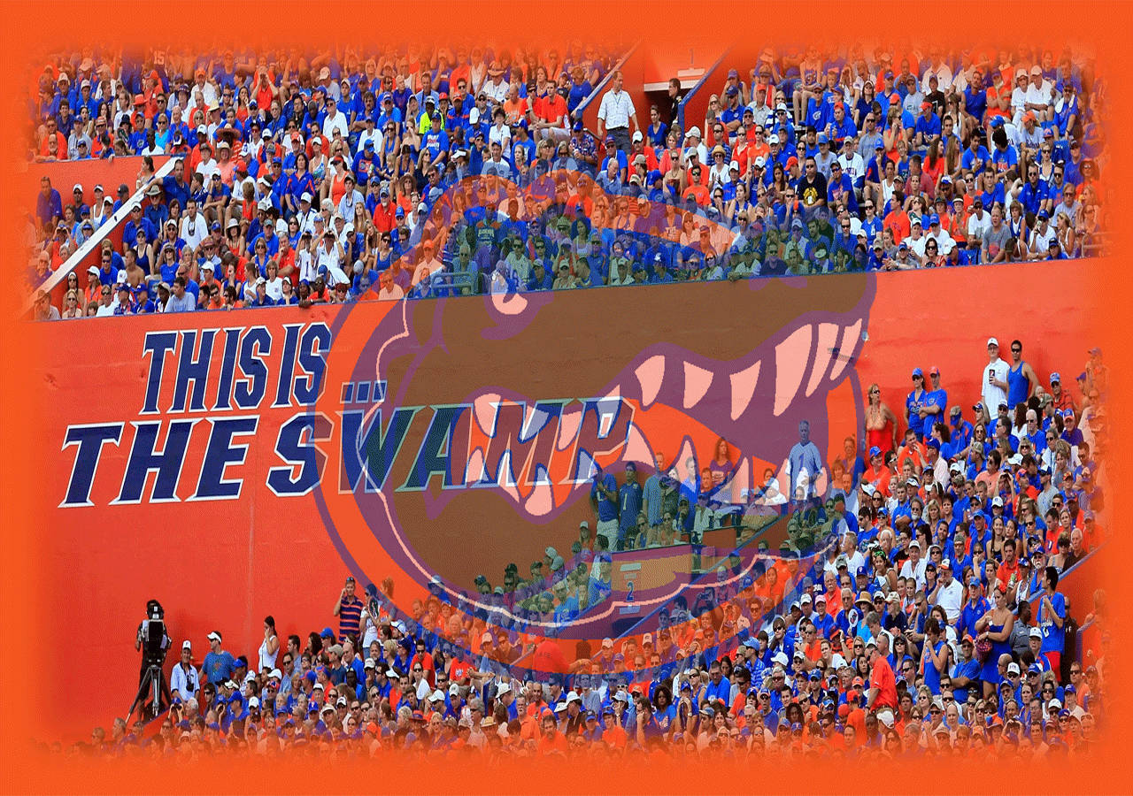Gators 桌布 壁紙 — 藍色和橙色的活力體育場人群圍繞著一個巨大的「This Is The Swamp」鱷魚壁畫。