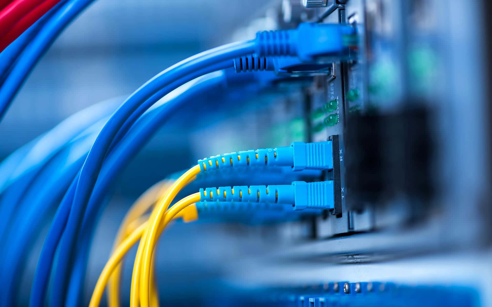 Network 桌布 壁紙 — 藍色和黃色網路電纜插入帶有綠色指示燈的伺服器機架的近距離特寫。