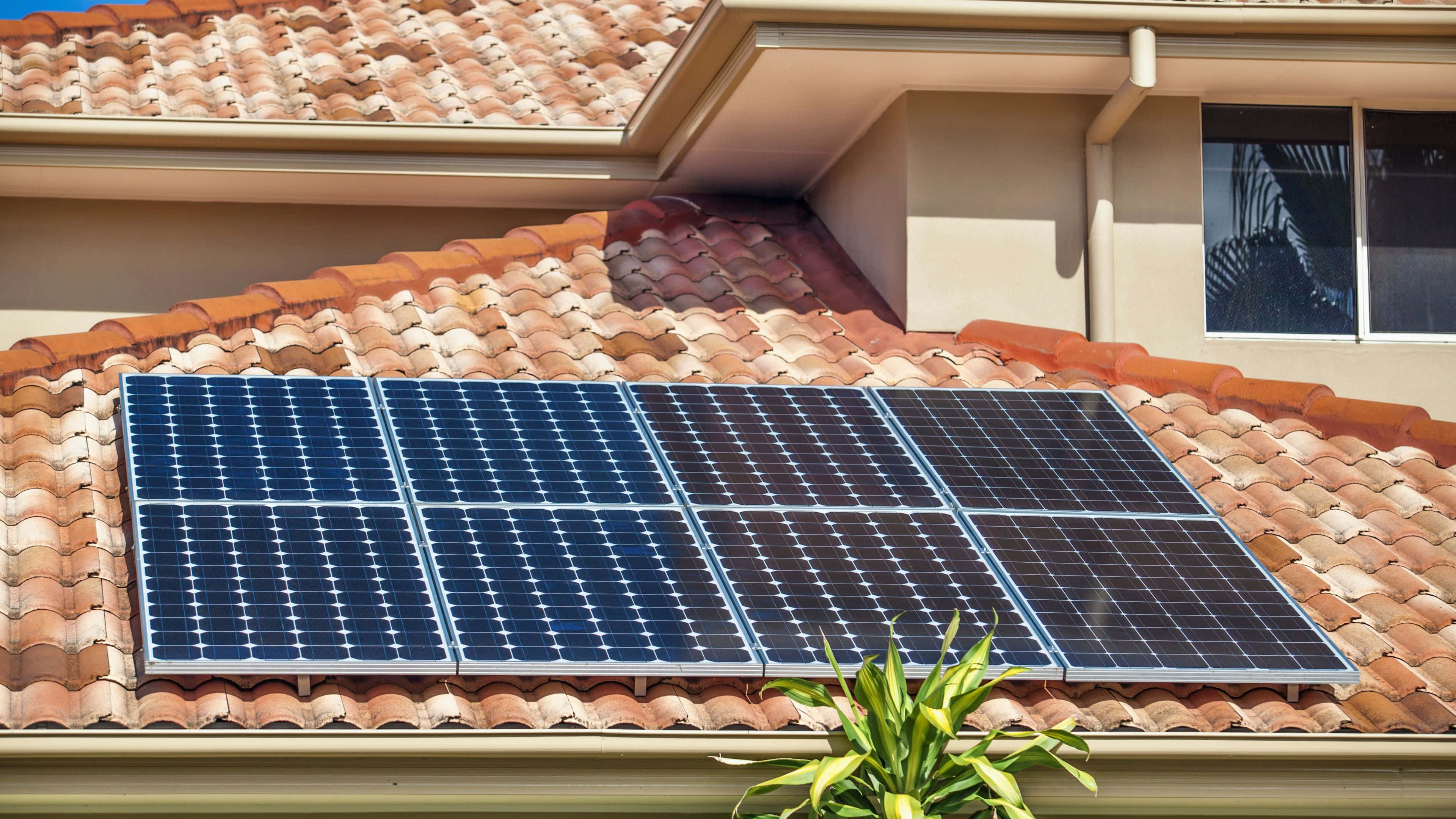 Solar Panel 桌布 壁紙 — 藍色太陽能板在明亮的陽光下在陶土瓦屋頂上閃閃發光，下方有一棵綠色植物探出頭來。