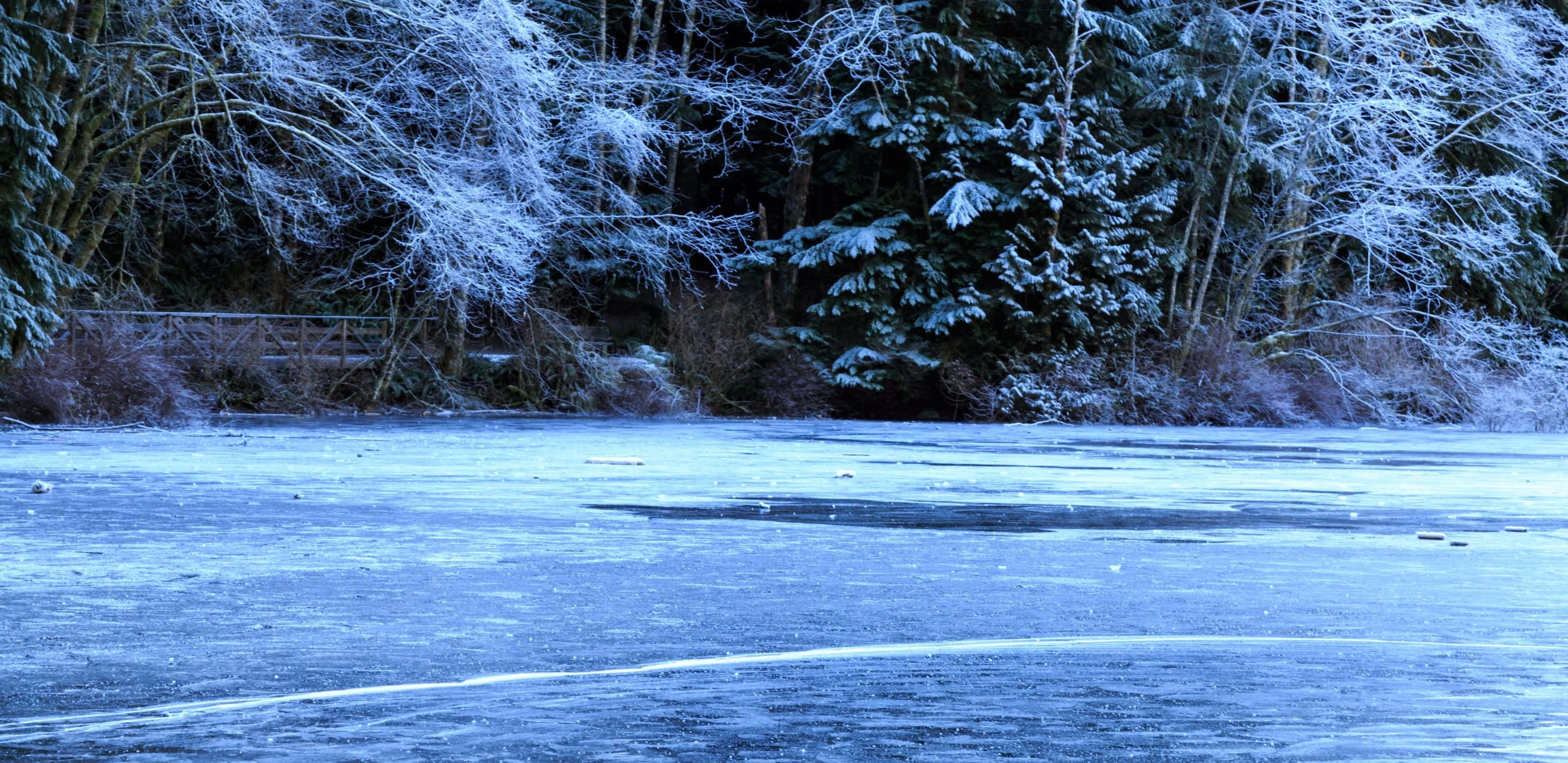 2960x1440 桌布 壁紙 — 藍色暮光下的冰凍湖泊，背景有被雪覆蓋的樹木和一座木橋。