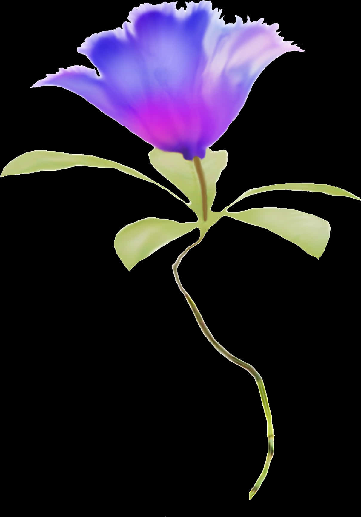 藍色漸變單花 — 藍色美學 壁紙
