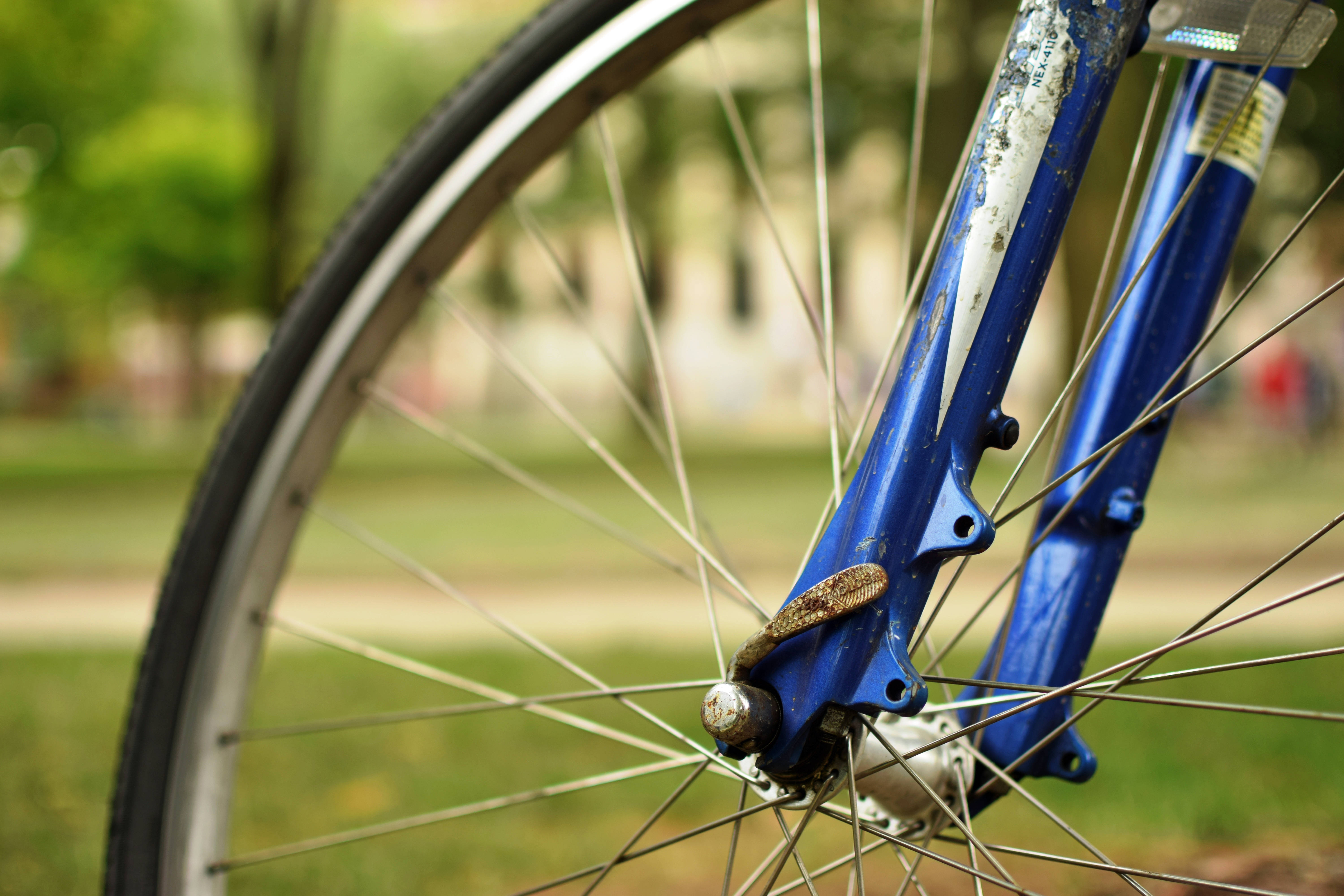 Bicycle 桌布 壁紙 — 藍色自行車前叉和車輪的特寫，一條蛇纏繞在輪轂上，背景是模糊的綠色公園。