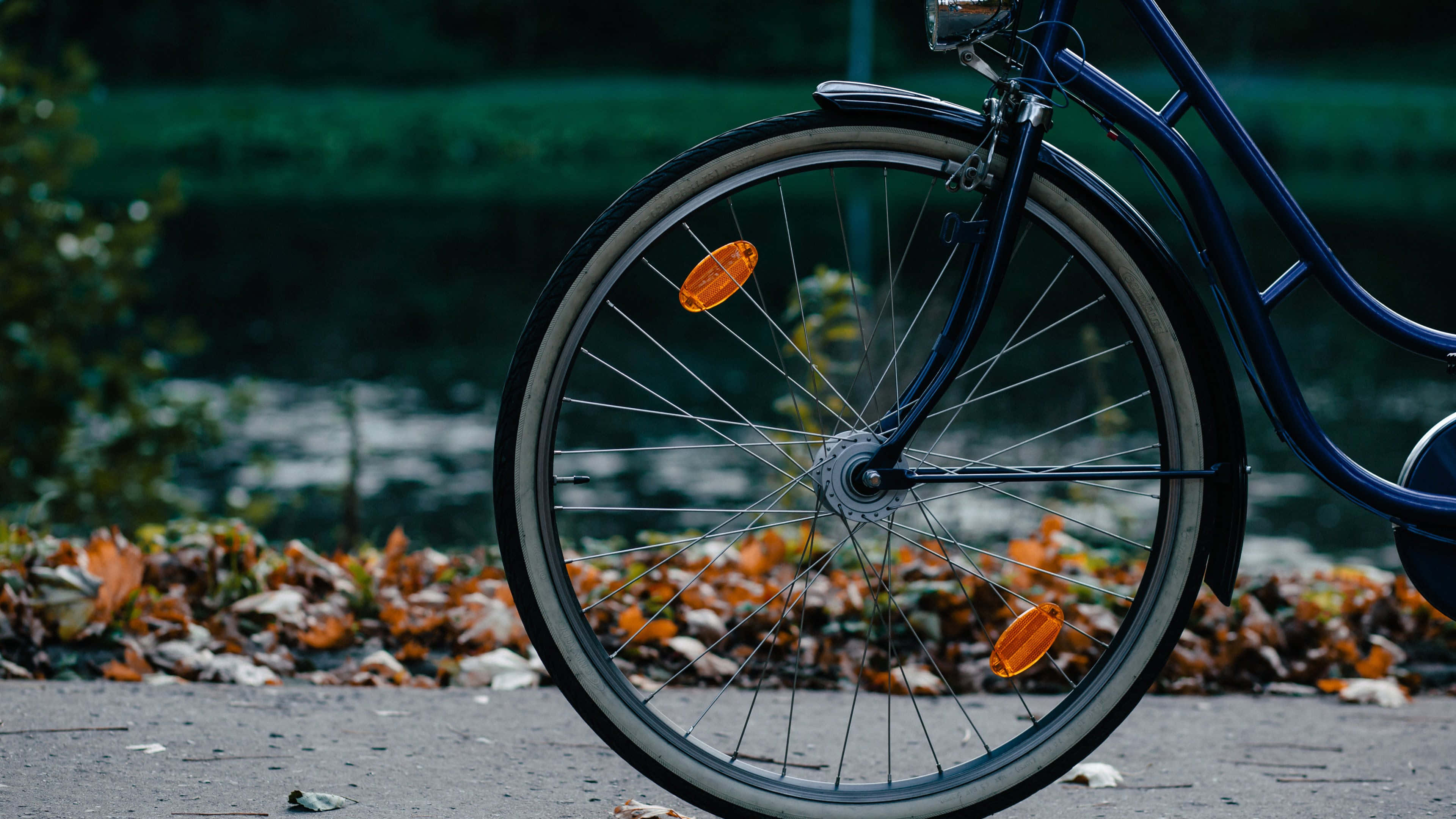 4K Bikes 桌布 壁紙 — 藍色自行車車輪近距離特寫，帶有橙色反光板，停放在人行道上，旁邊有落下的秋葉，靠近水邊。