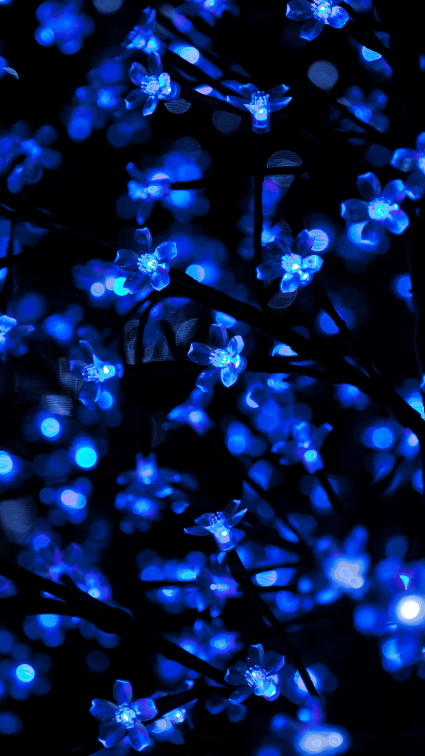 Blue Neon Lights 桌布 壁紙 — 藍色花朵形狀的LED燈在黑暗背景下柔和發光，營造出夢幻般的散景效果。