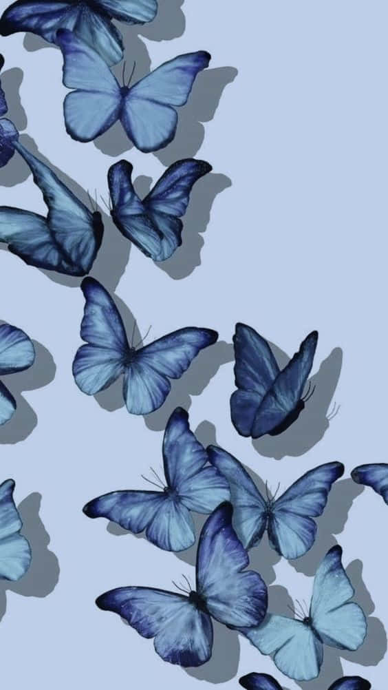 Cool Butterfly 桌布 壁紙 — 藍色蝴蝶帶有柔和陰影，在淡藍色背景上優雅飄浮，呈現寧靜的數位插圖。