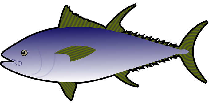 藍色鮪魚插圖 壁紙