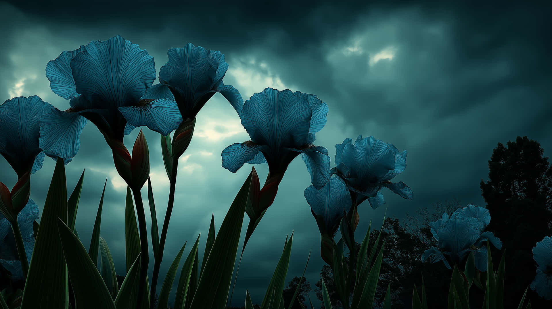 Mysterious Blue Irises Under a Moody Sky 壁紙 — 藍色鳶尾花在風暴般的青綠色天空下戲劇性地盛開，伴隨著烏雲和剪影般的樹葉。