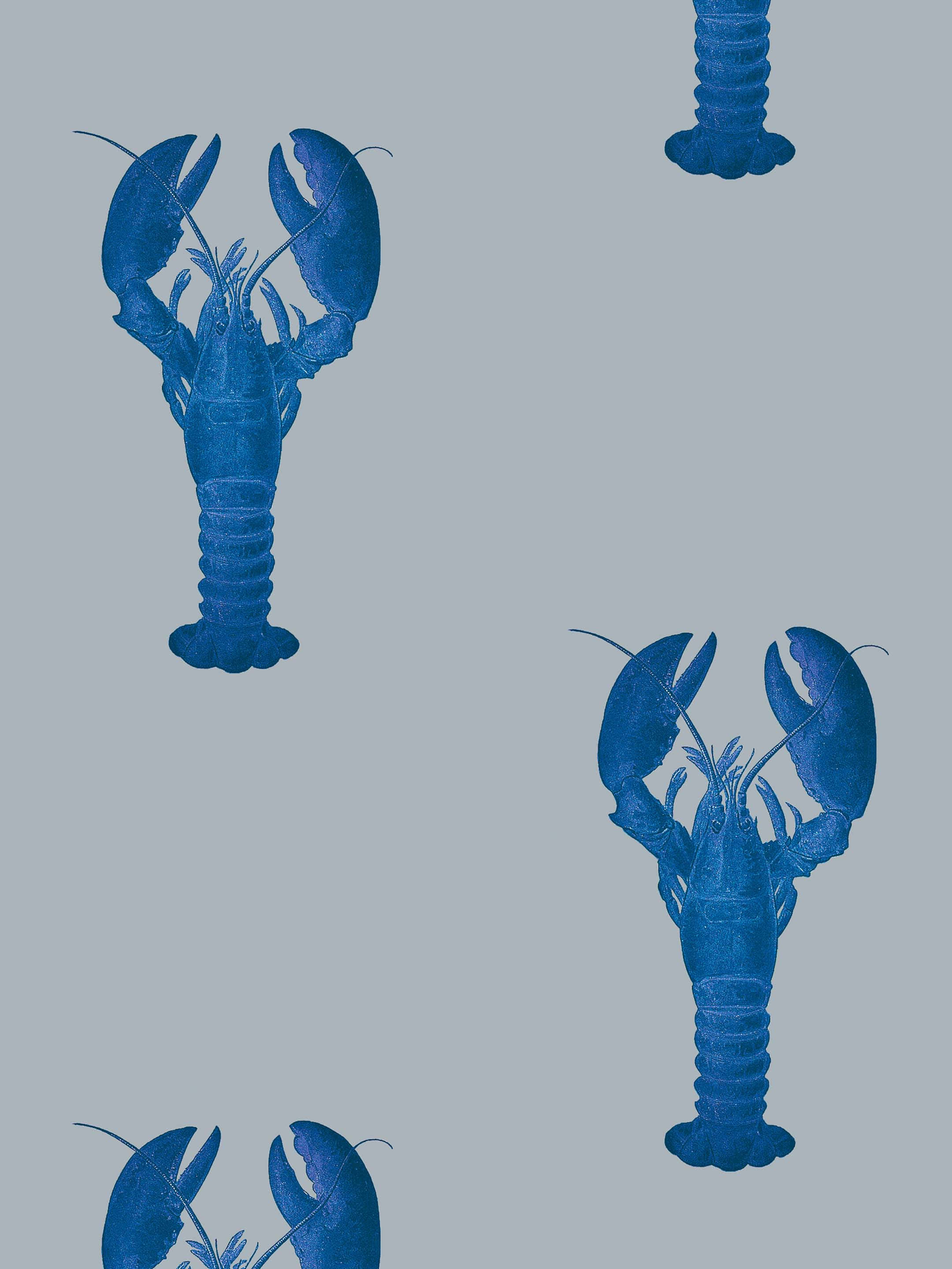 Lobster 桌布 壁紙 — 藍色龍蝦剪影在柔和的灰色背景上以重複圖案漂浮。