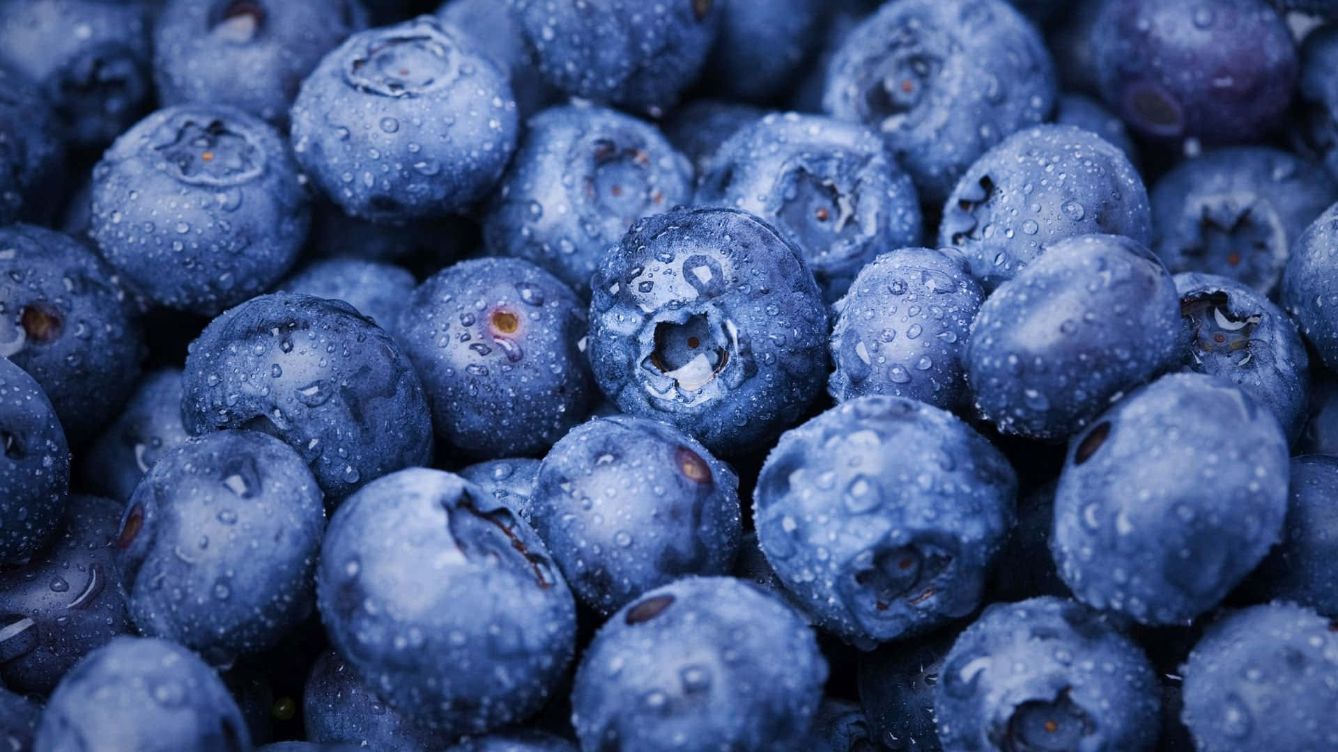 藍莓堆疊成堆 壁紙