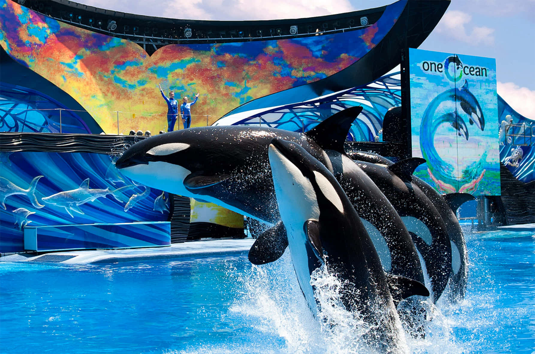Seaworld 桌布 壁紙 — 虎鯨在色彩繽紛的弧形舞臺下，從充滿活力的藍色水中動態躍起，馴養員在上方揮手。