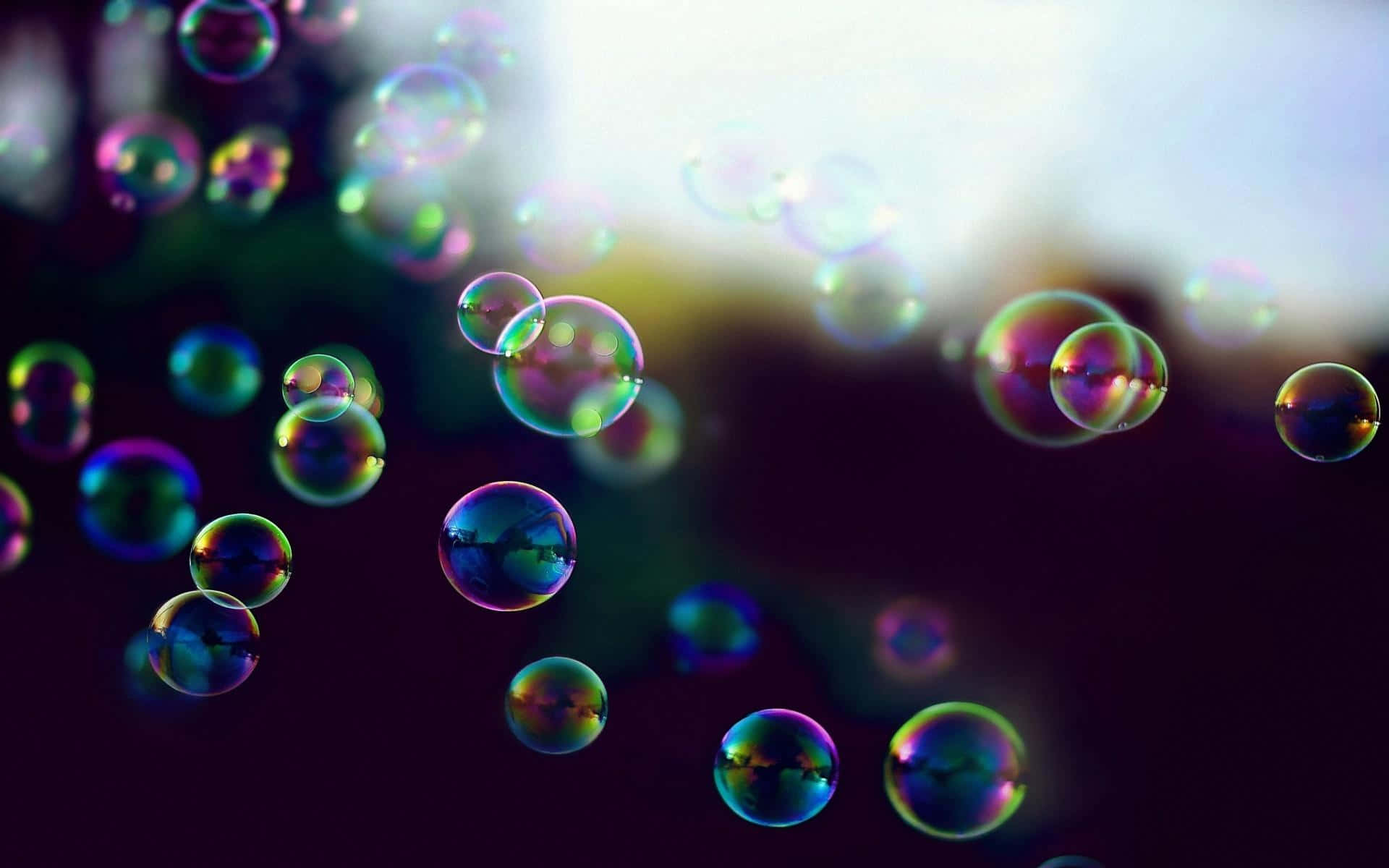 Bubbles 桌布 壁紙 — 虹彩肥皂泡在柔和的模糊背景上漂浮並閃爍著彩虹色。