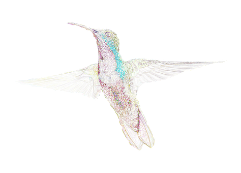 虹彩蜂鳥藝術作品 壁紙