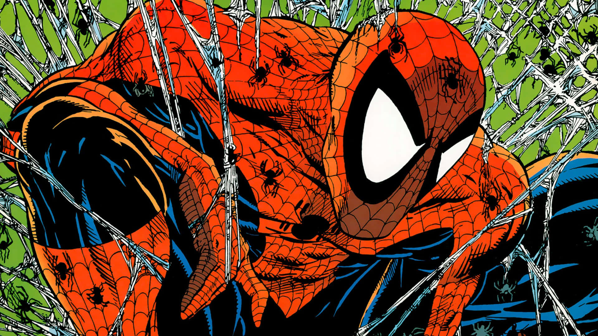 Spider Man Comic 桌布 壁紙 — 蜘蛛人以強烈的專注力衝破一塊佈滿蜘蛛網的玻璃窗，背景是充滿活力的綠色。