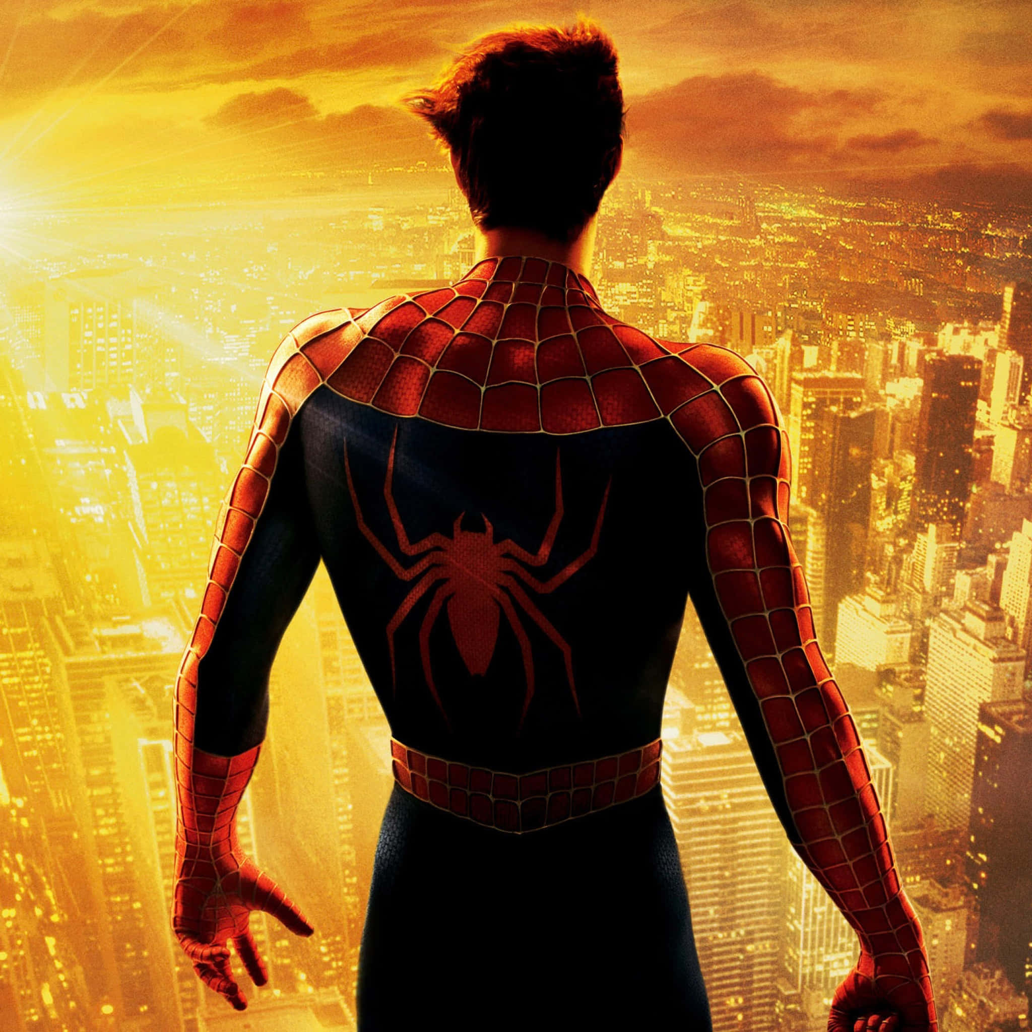 Spider Man Trilogy 桌布 壁紙 — 蜘蛛人站在摩天大樓頂端，俯瞰夕陽下金光閃耀的城市景觀，耀眼的光束穿透雲層。