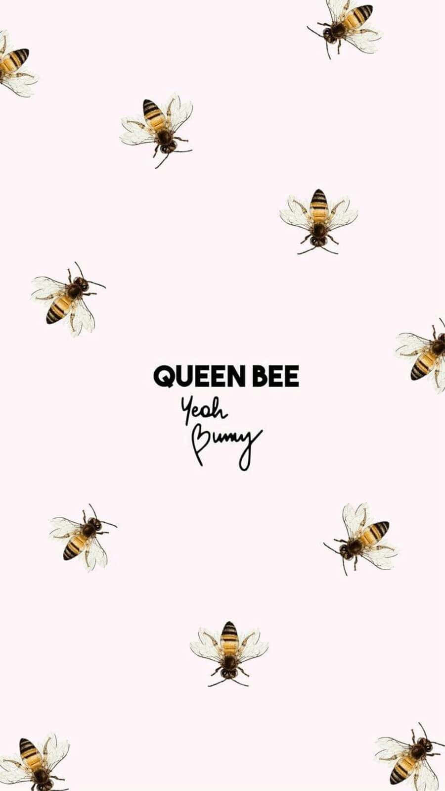 Aesthetic Bee 桌布 壁紙 — 蜜蜂優雅地漂浮在粗體文字 queen bee yeah bunny 周圍，背景為柔和的粉紅色。
