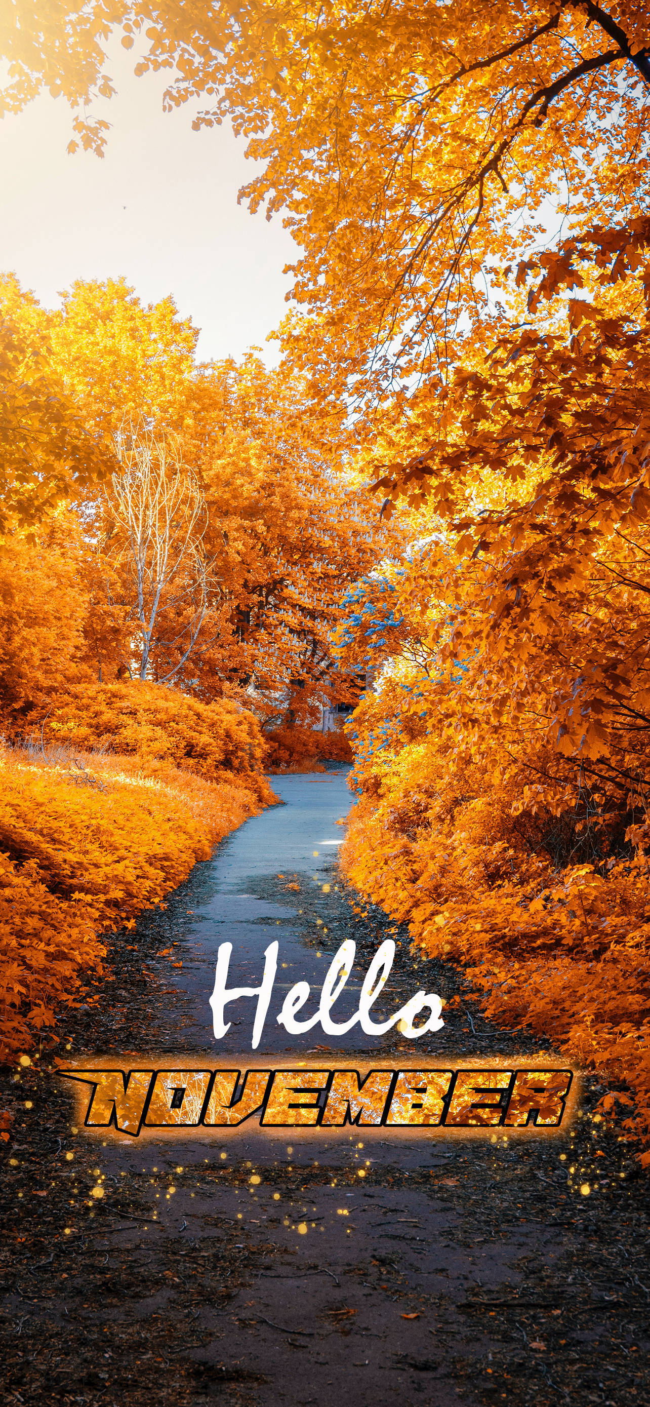 十一月 桌布 壁紙 — 蜿蜒小徑穿過充滿活力的橙色秋樹，底部有「Hello November」文字溫暖發光。