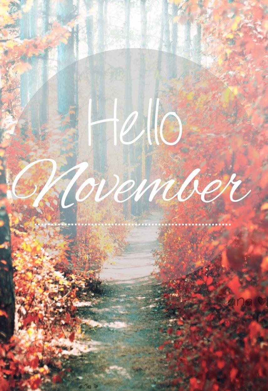 November iPhone 桌布 壁紙 — 蜿蜒的森林小徑，被鮮豔的紅色和橙色秋葉環繞，在柔和晨光下。
