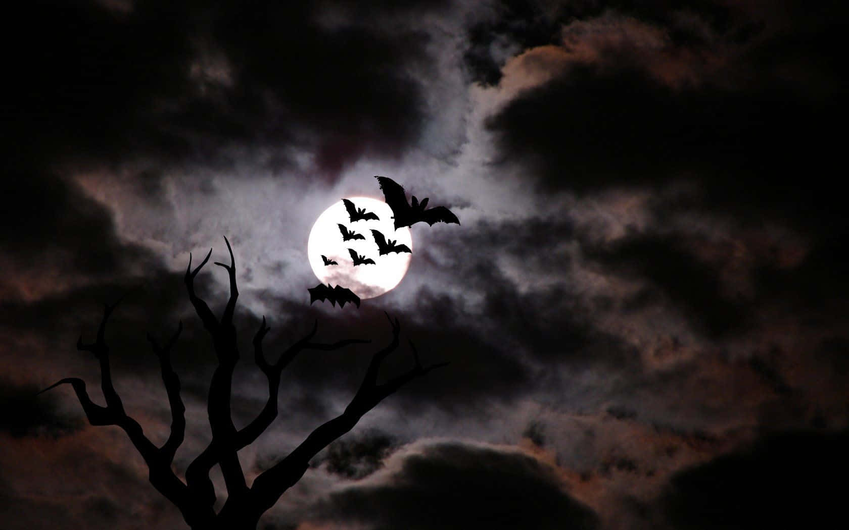 Spooky Halloween 桌布 壁紙 — 蝙蝠剪影在暴風雲後的滿月周圍飛翔，前景有一棵光禿禿的樹。