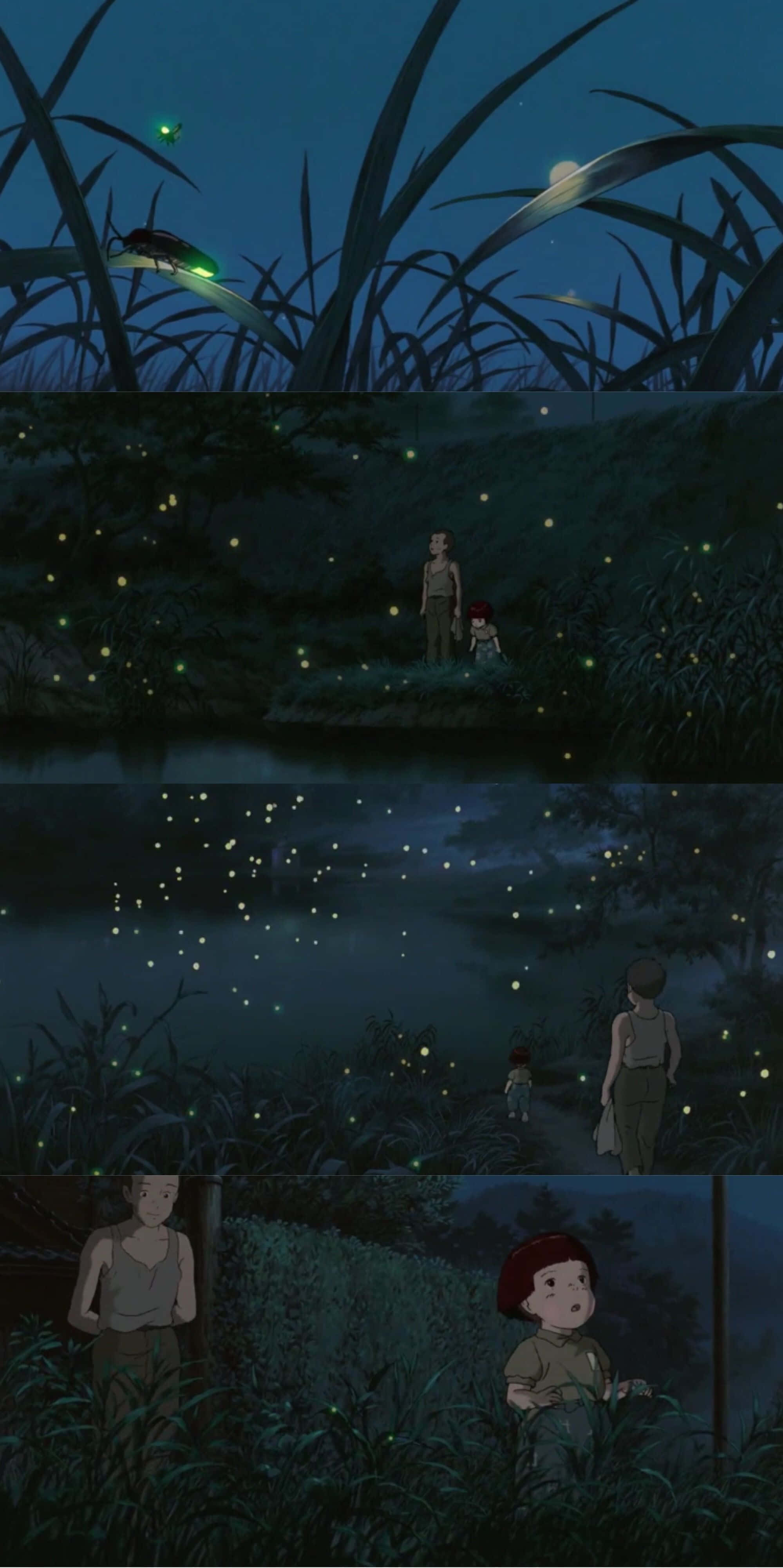 螢火蟲之墓背景 壁紙