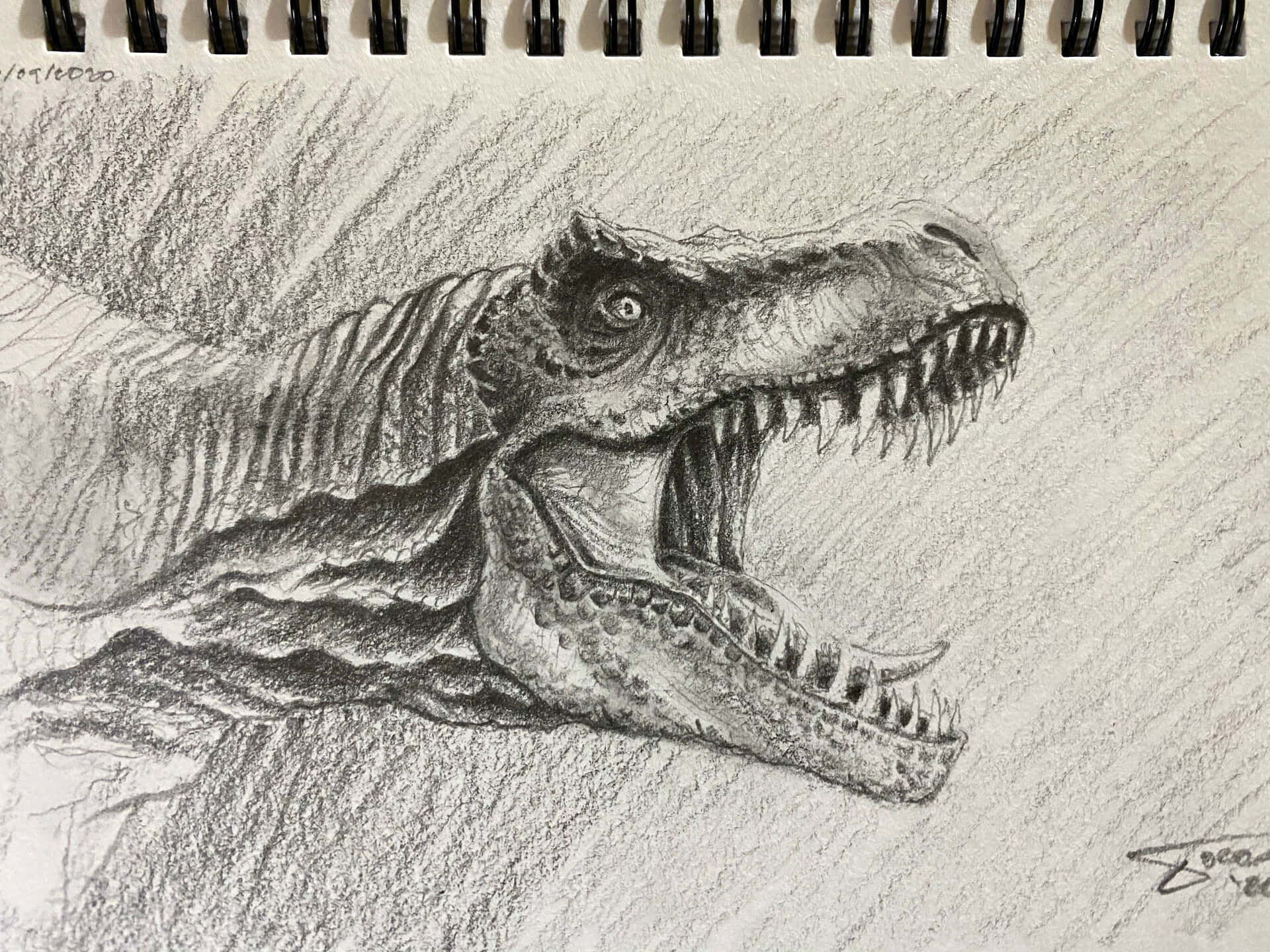 Dinosaur Drawing 桌布 壁紙 — 螺旋裝訂素描本中咆哮的暴龍頭部詳細鉛筆素描。