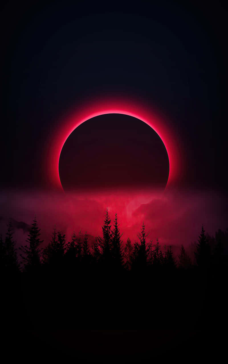 blood moon 桌布 壁紙 — 血紅色的日食在深紅色的天空下，在黑暗森林的輪廓上方發光。