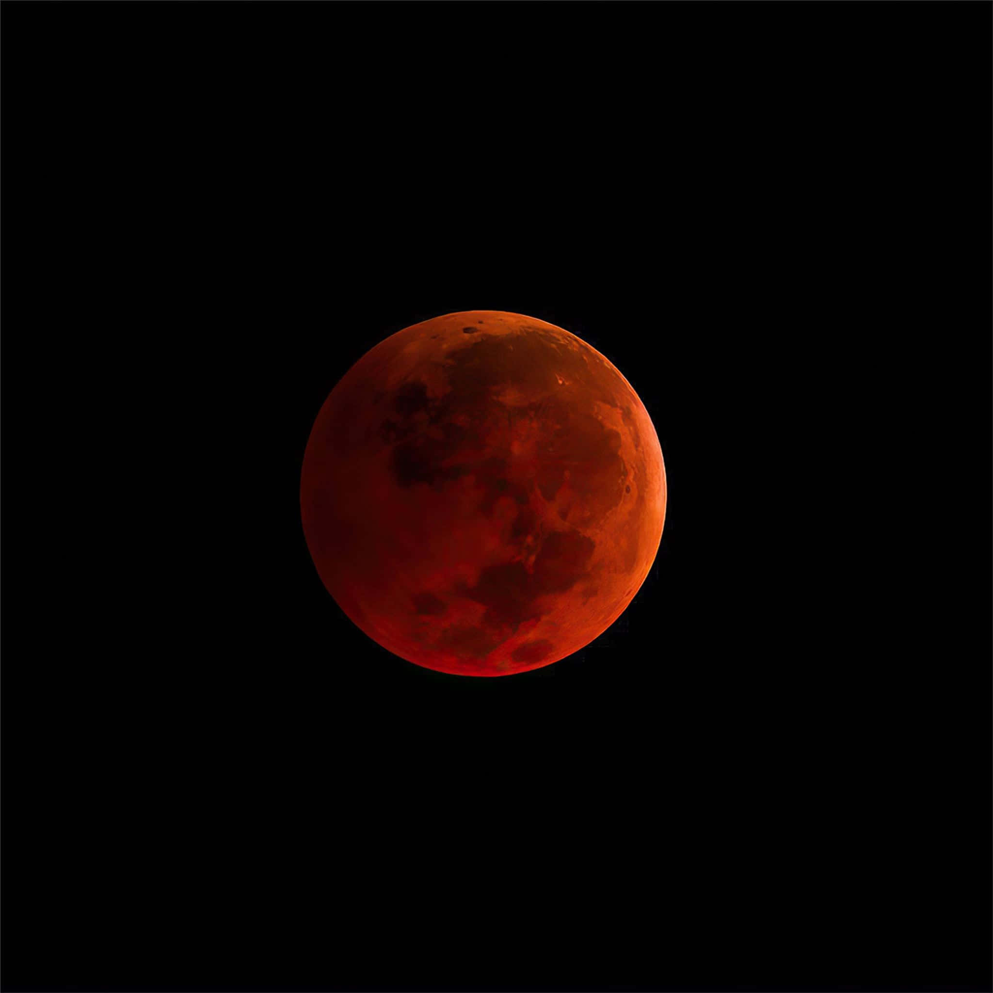 blood moon 桌布 壁紙 — 血紅色的月亮在漆黑的天空中強烈發光，正值月全食期間。