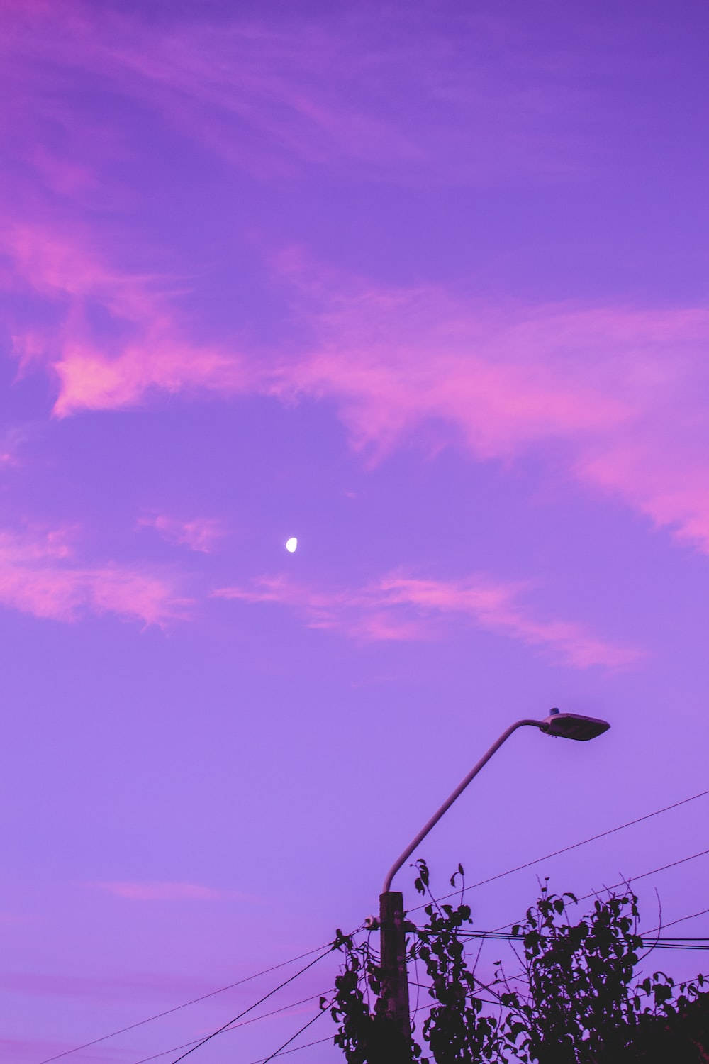 夜空 桌布 壁紙 — 街燈在充滿活力的紫色和粉紅色暮色天空下形成剪影，伴隨著一彎新月。