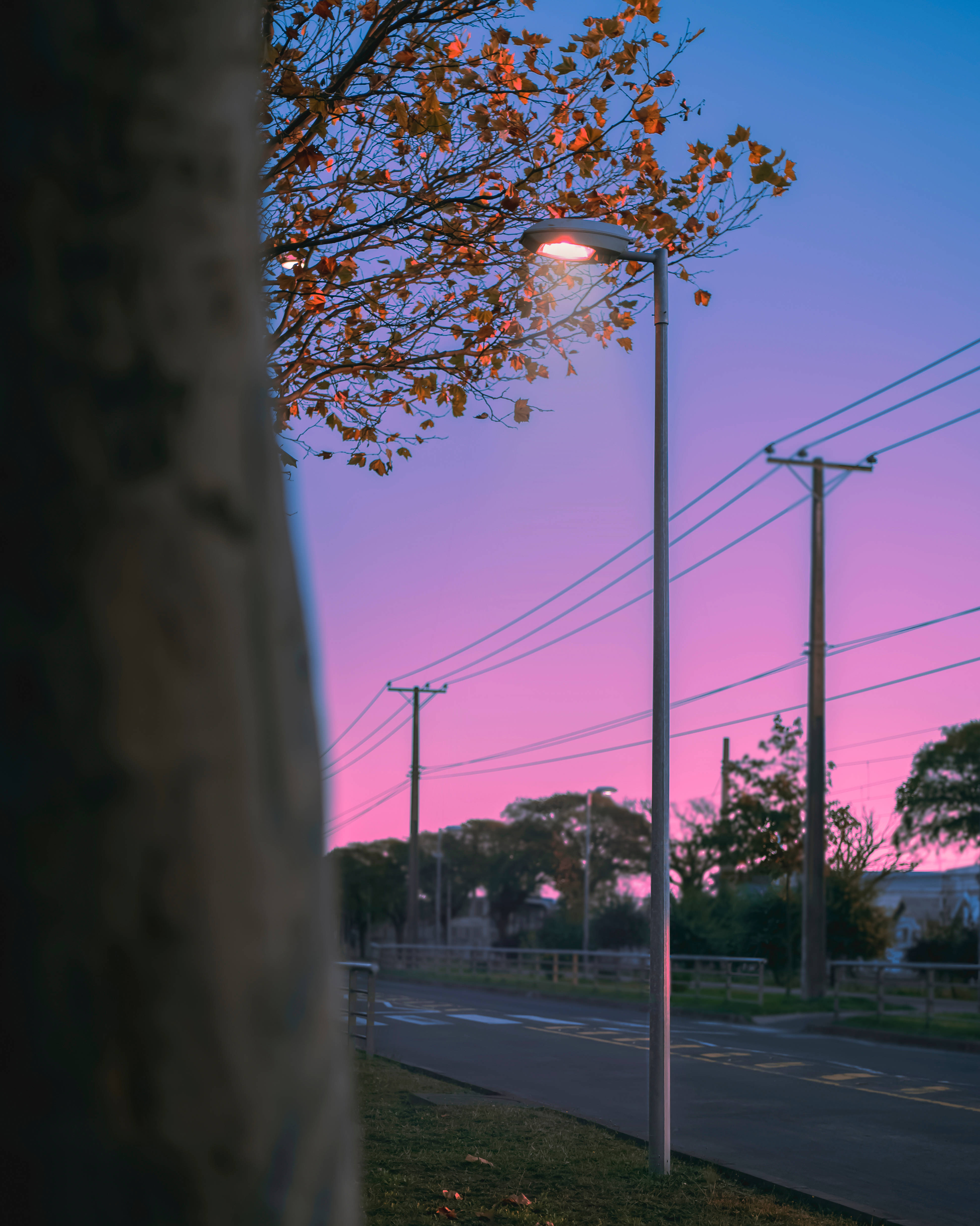 View 桌布 壁紙 — 街燈在粉紅和紫色調的暮色天空中溫暖地發光，以秋葉和樹幹為框景。